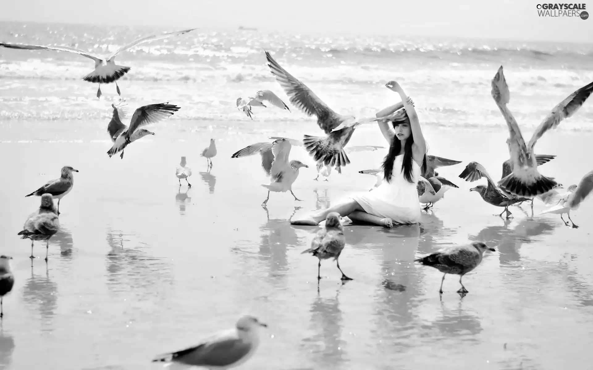 gulls, Beaches, White, dress, Women