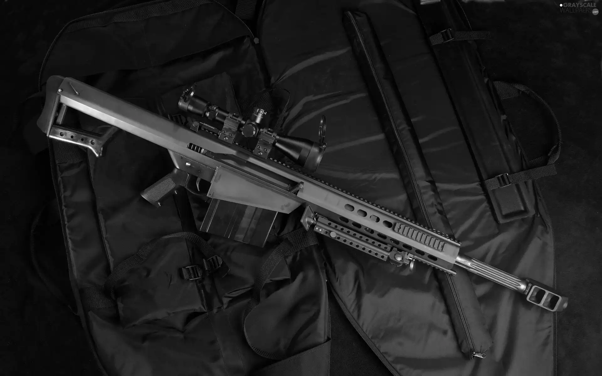 gun