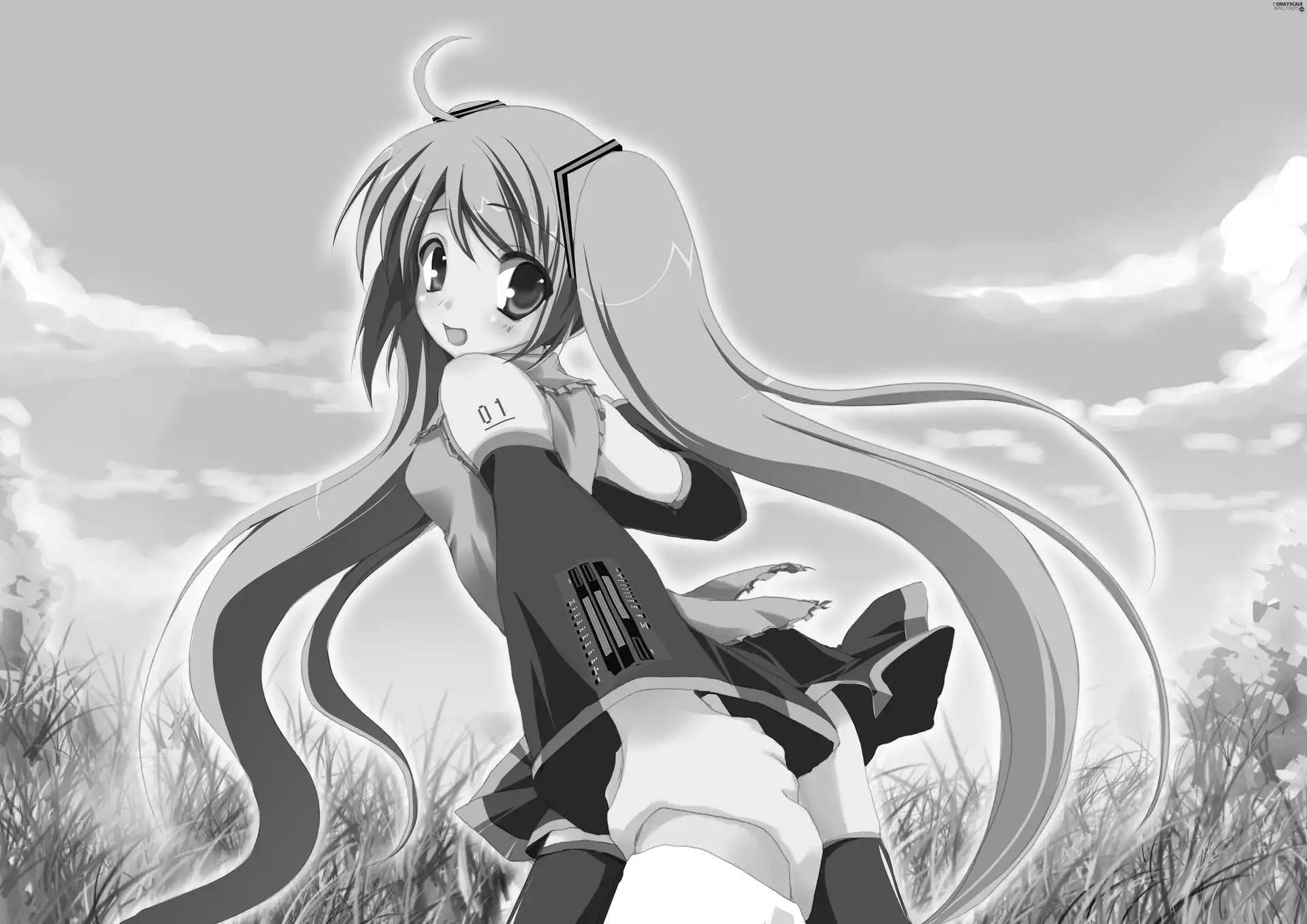 Hair, Vocaloid, Longs
