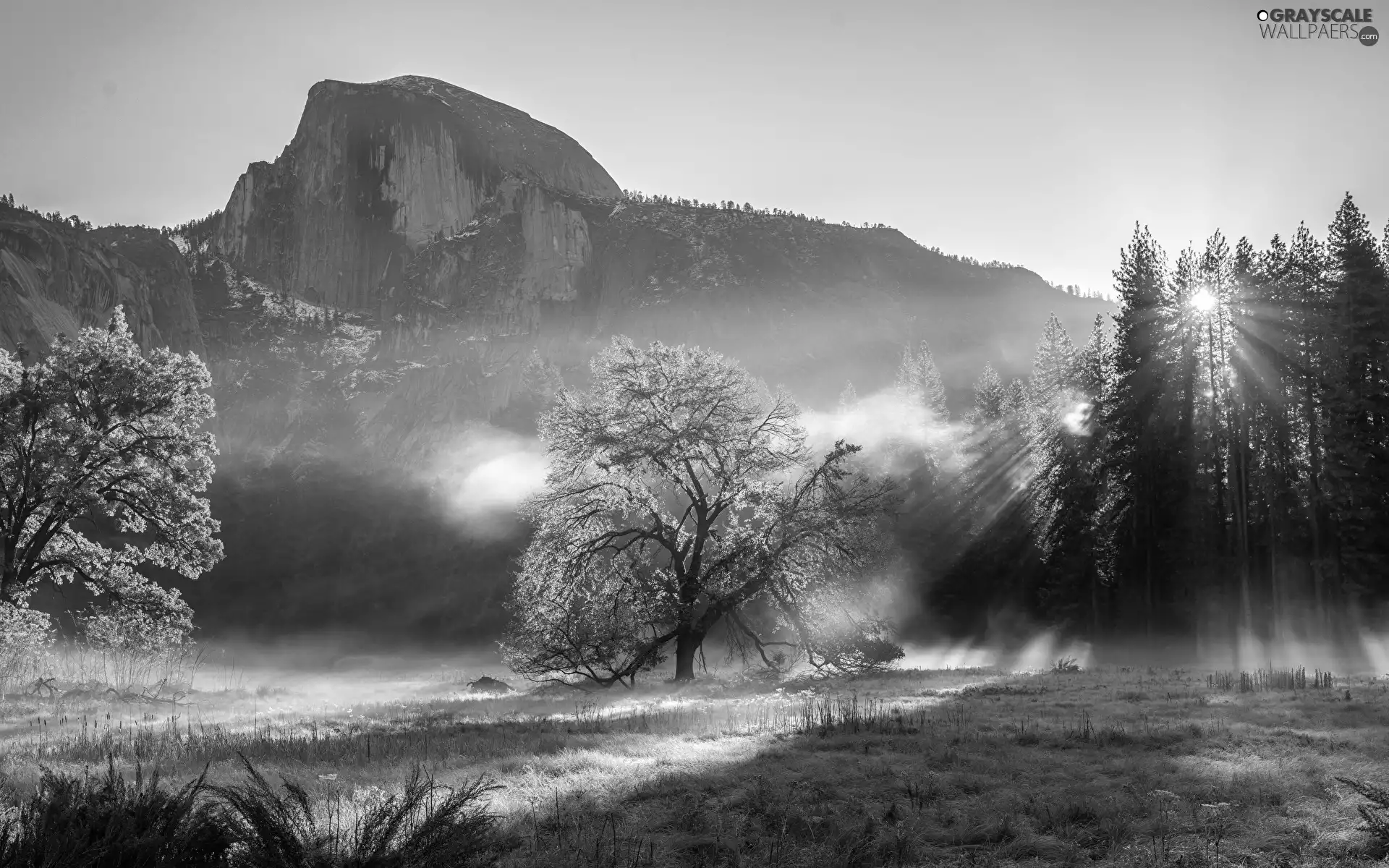 California, The United States, Yosemite National Park, Half Dome Mountain, viewes, Fog, Mountains, trees, autumn
