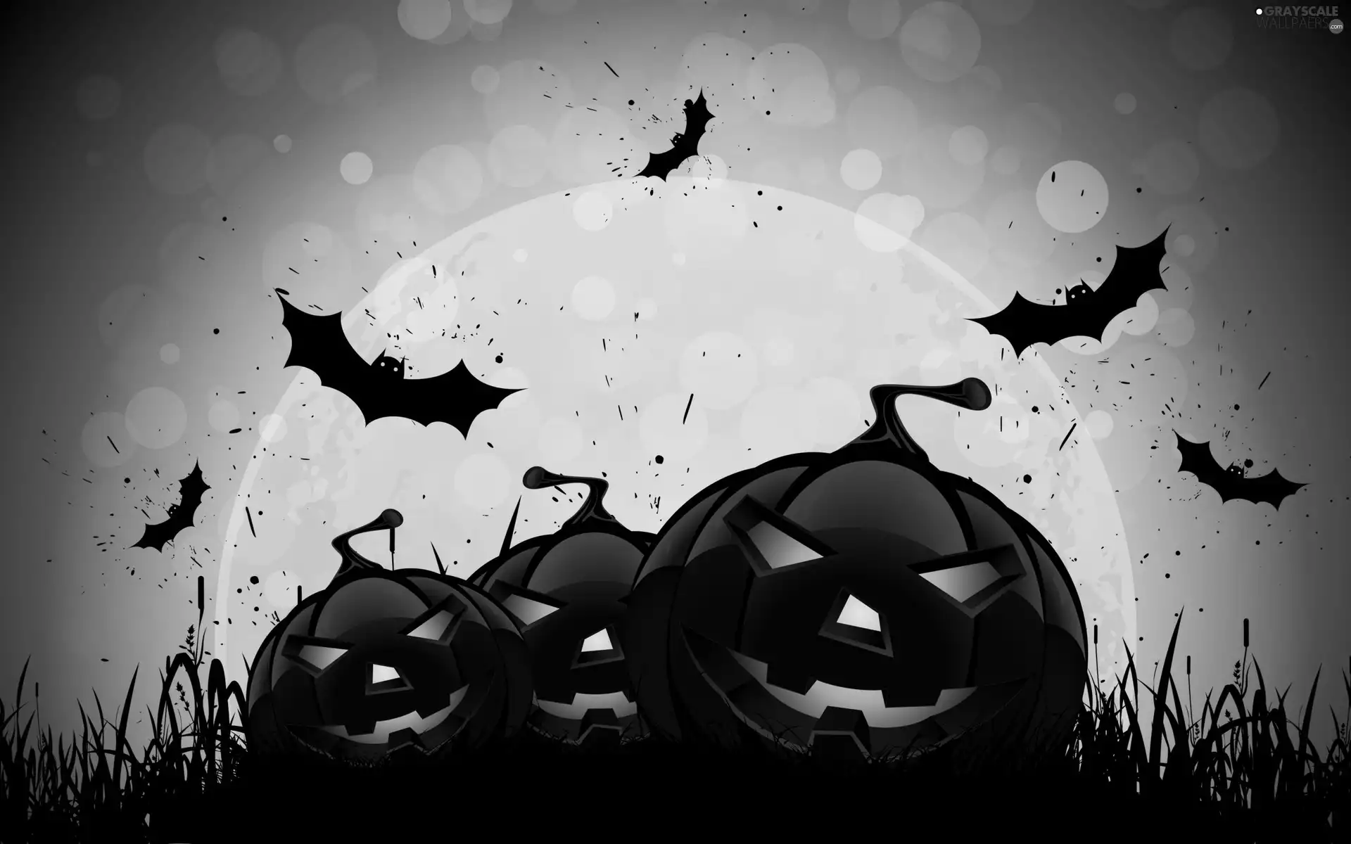 halloween, pumpkin, bats