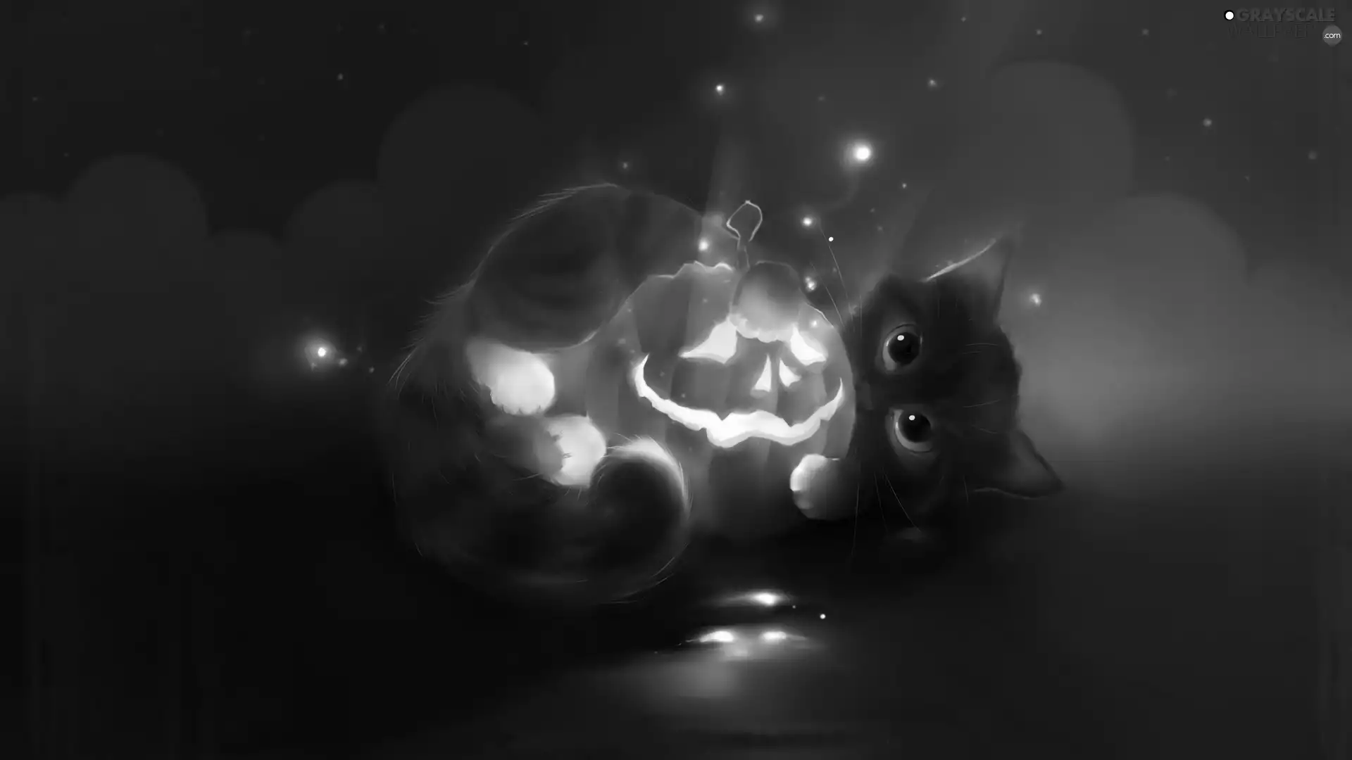 halloween, cat, pumpkin