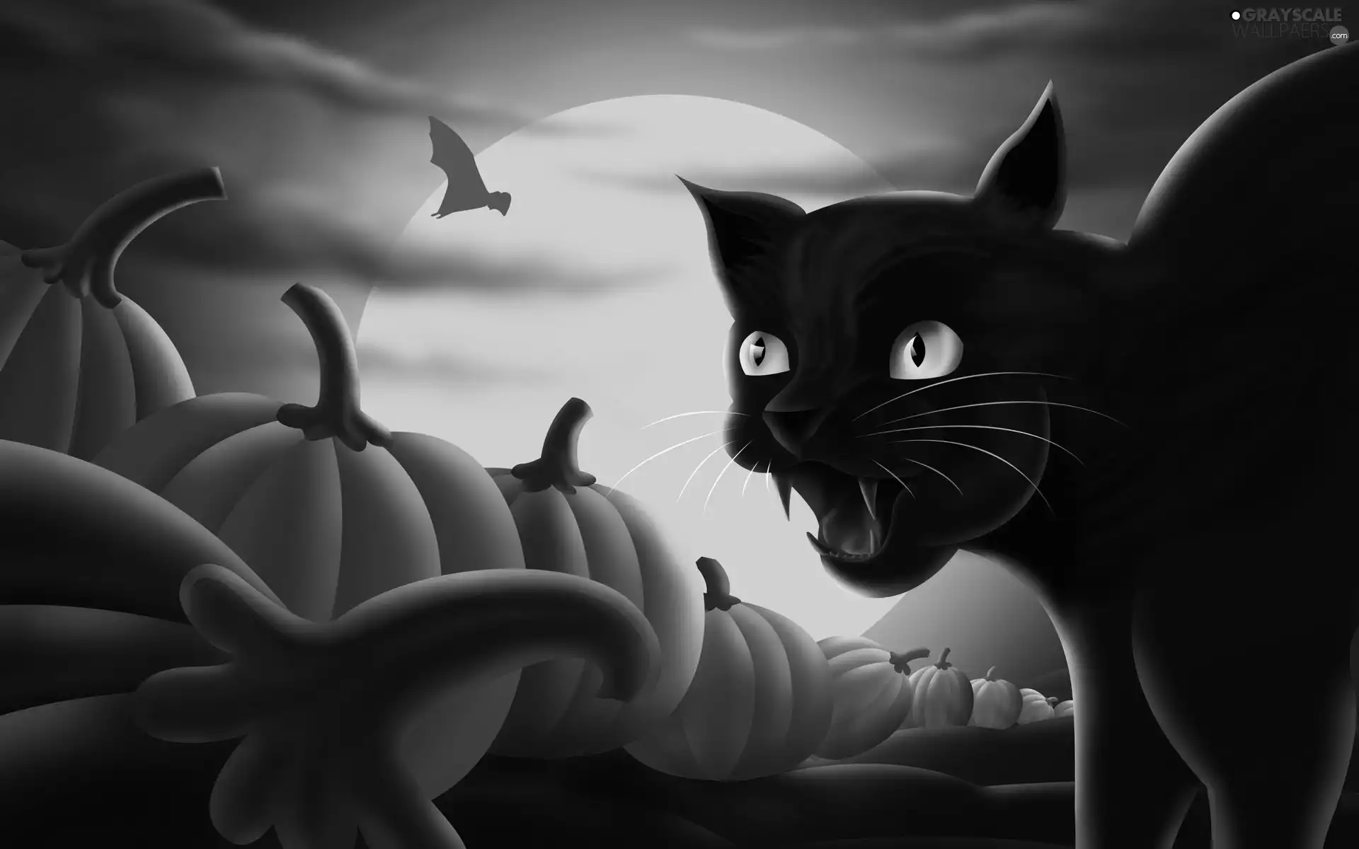 halloween, cat, pumpkin