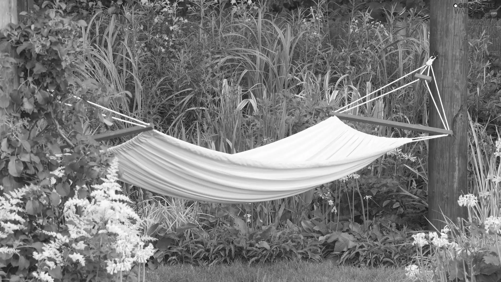 Hammock, summer, green