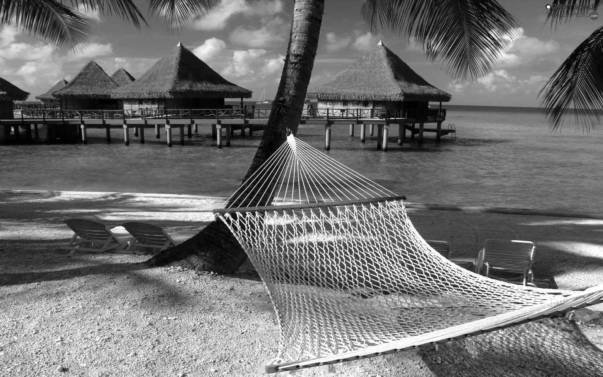 Hammock, sea, Houses