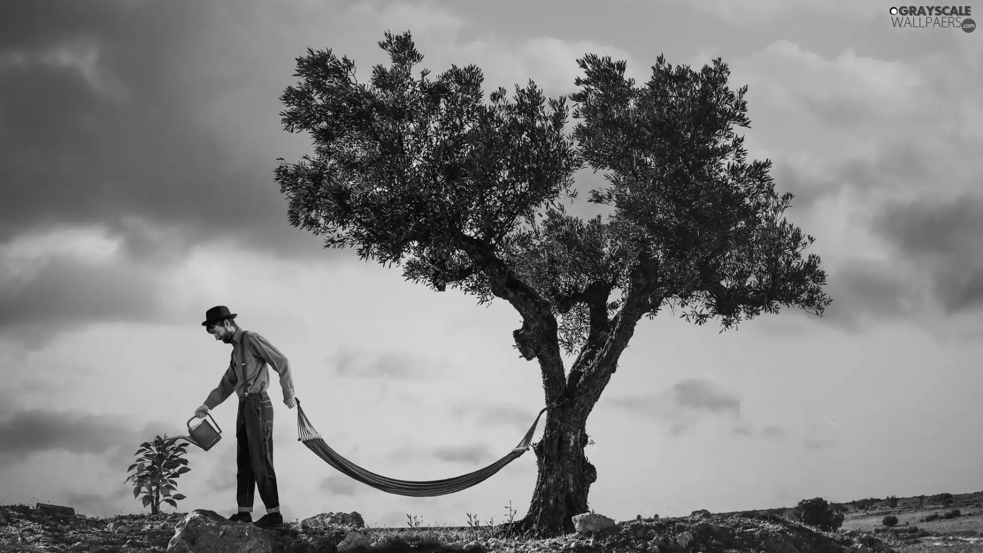 Hammock, trees, watering can, viewes, a man, Funny, photomontage