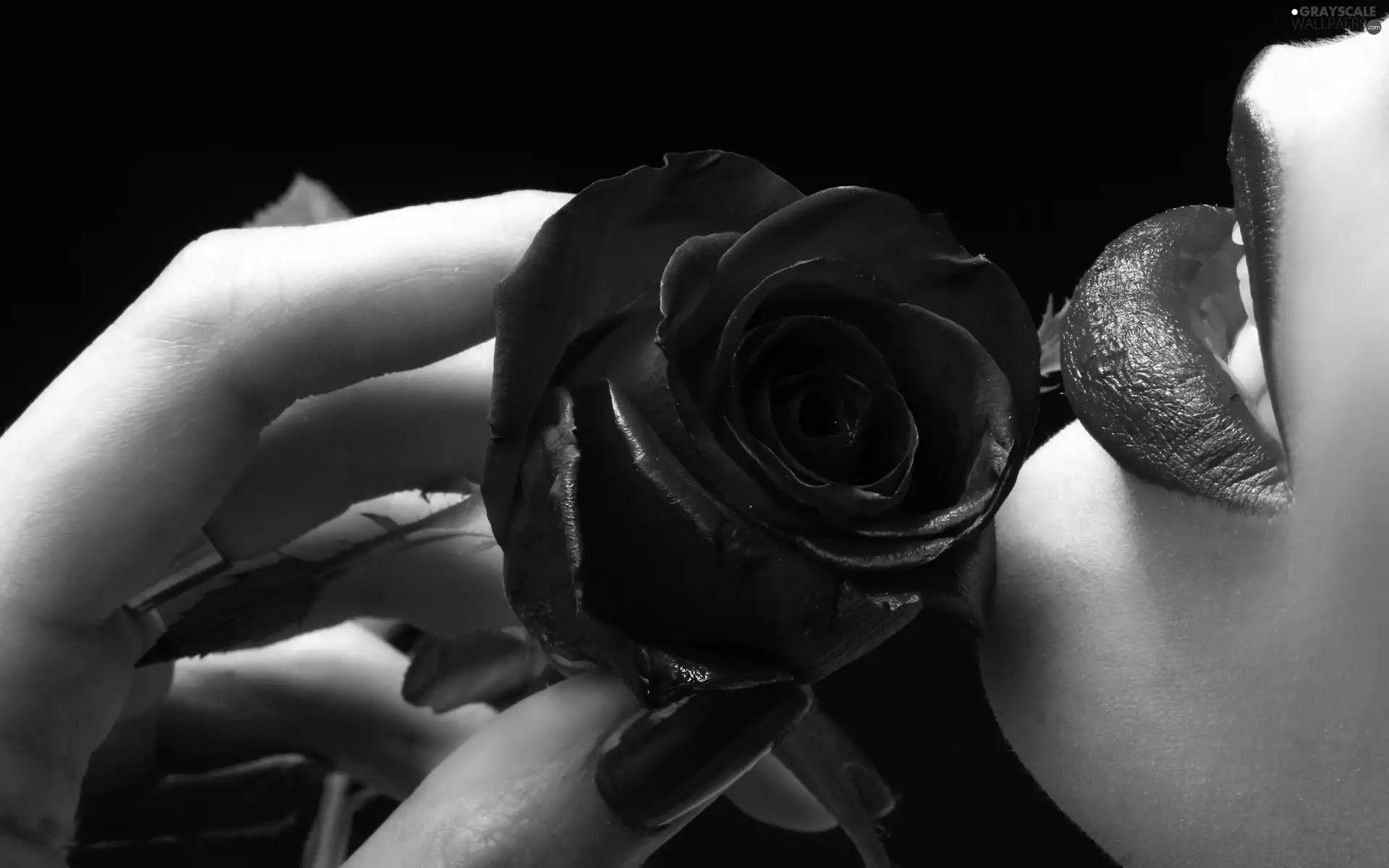 hand, rose, lips