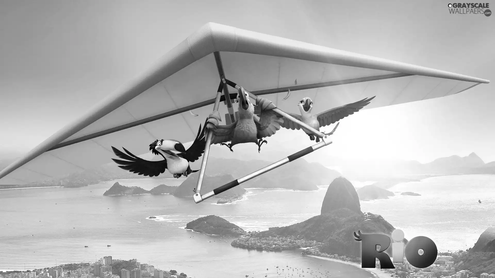 Rio, Toucan, hang-glider, Parrots