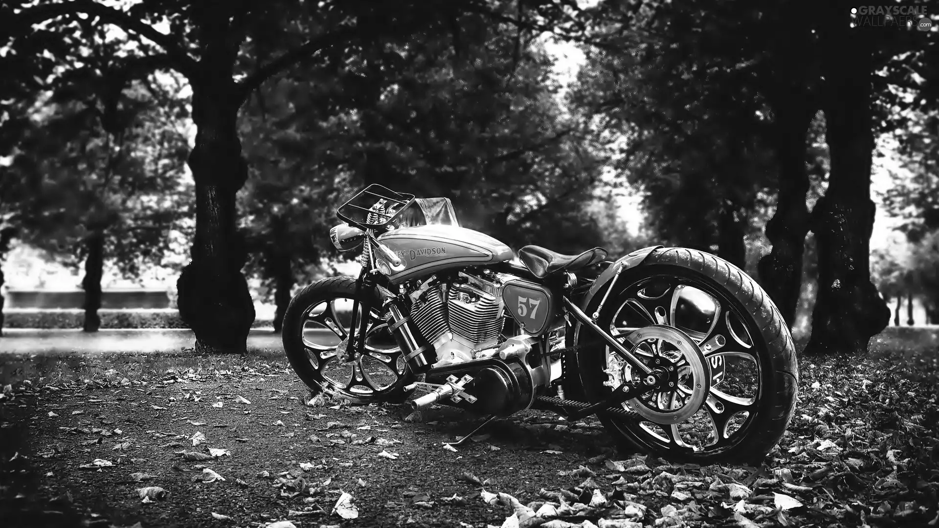 Harley-Davidson