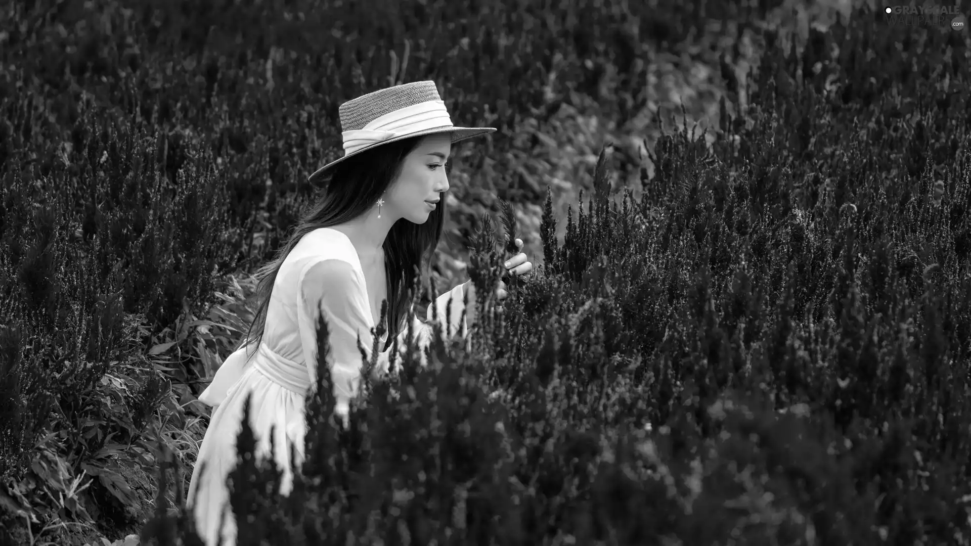 Women, Flowers, dress, Hat, White, Celosia
