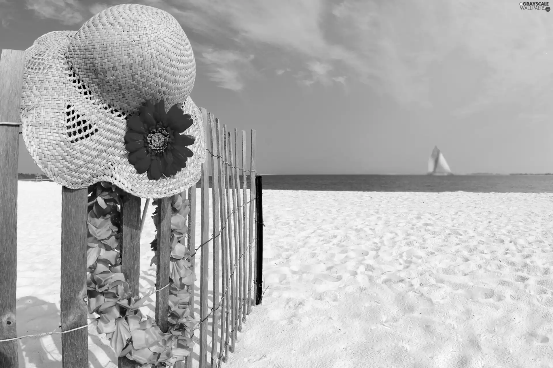 sea, Beaches, Hat, Sand