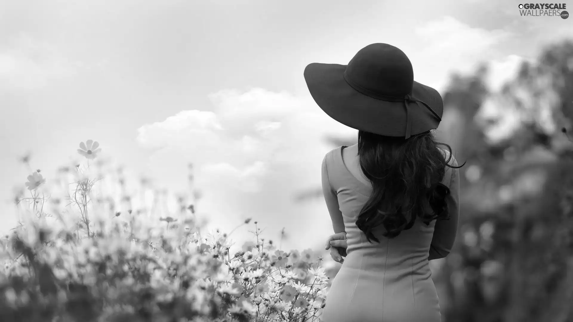 Hat, Spring, Flowers, Women, Meadow