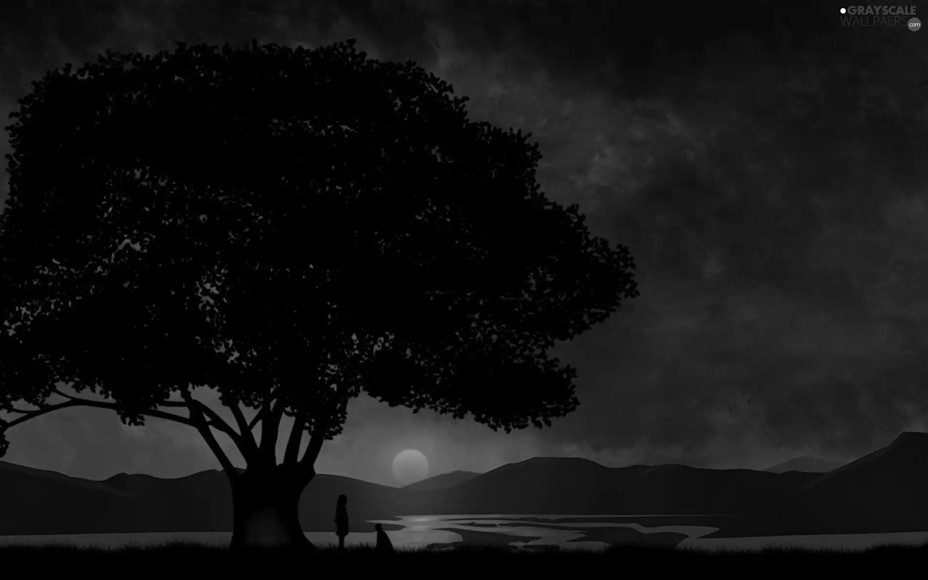 he, she, sun, trees, west