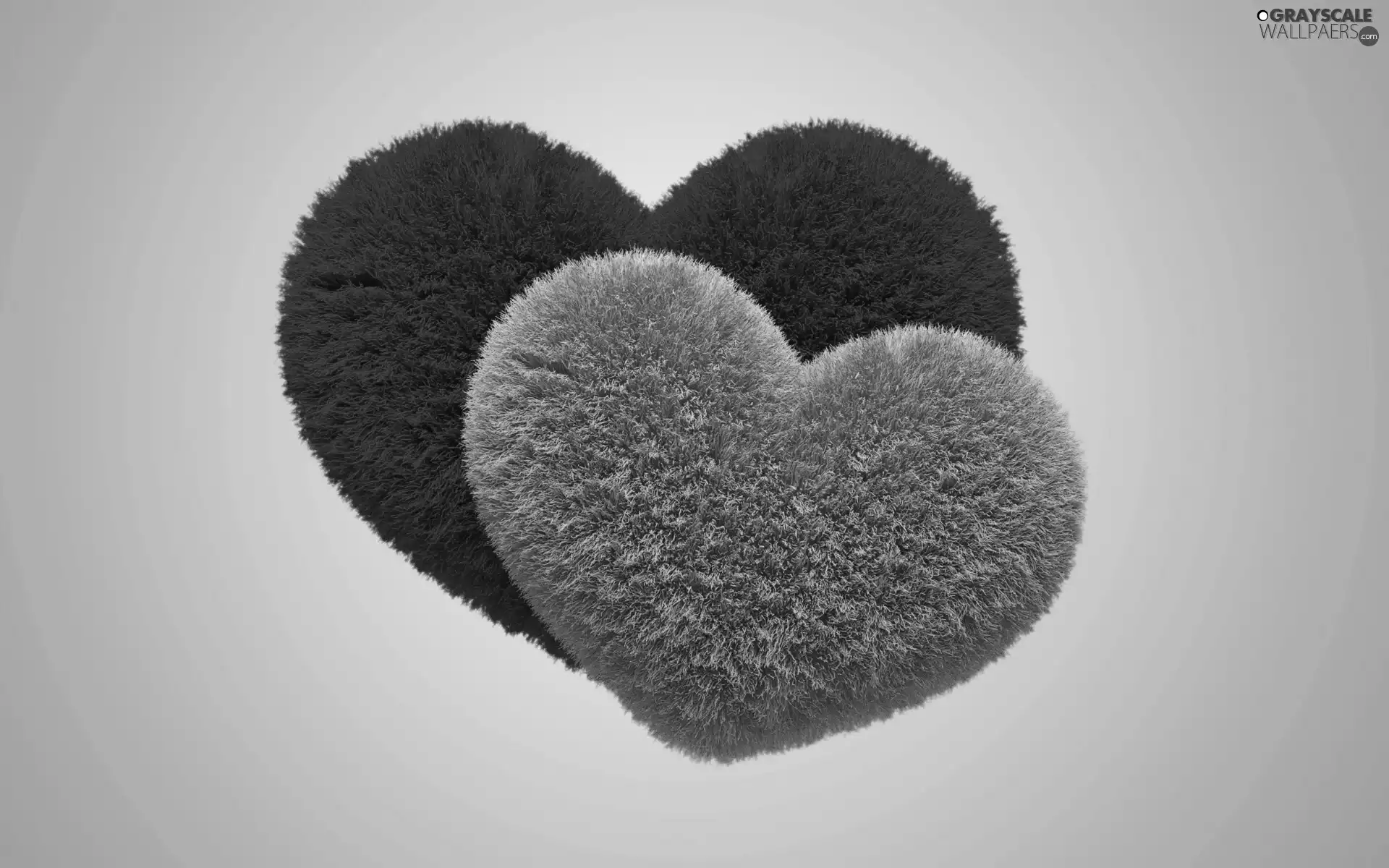 BBW, picture, Two cars, heart, Love things