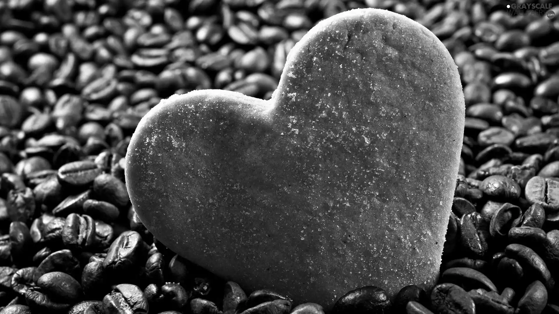 coffee, cake, Heart teddybear, grains