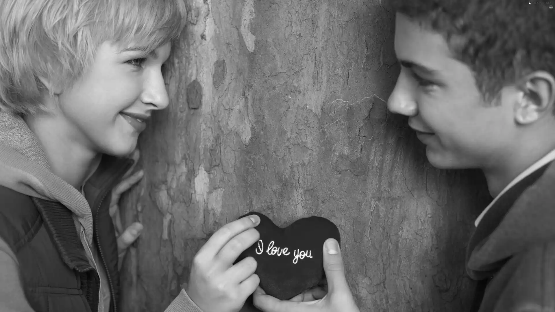Heart, Valentine
