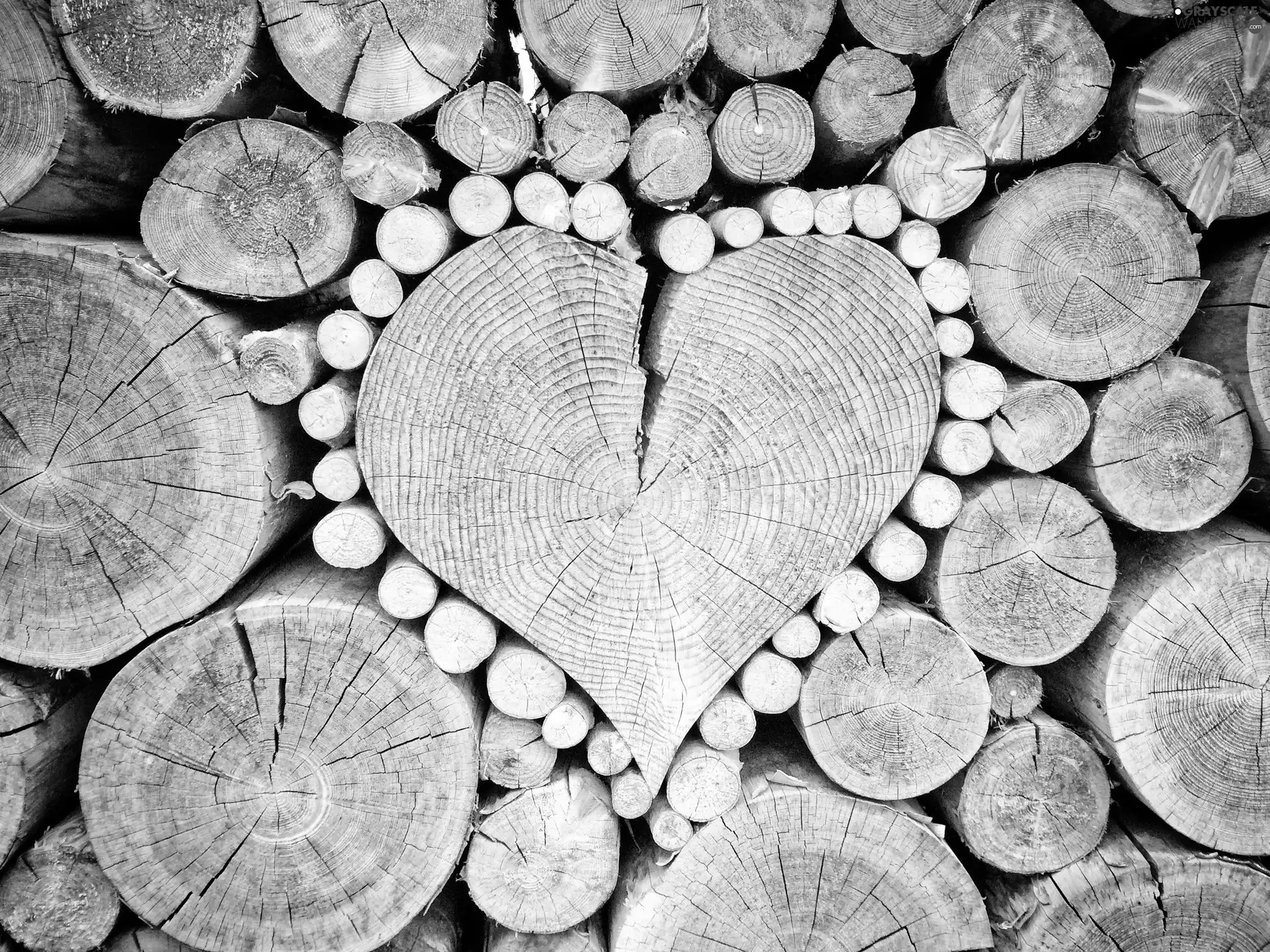 Wood, Heart