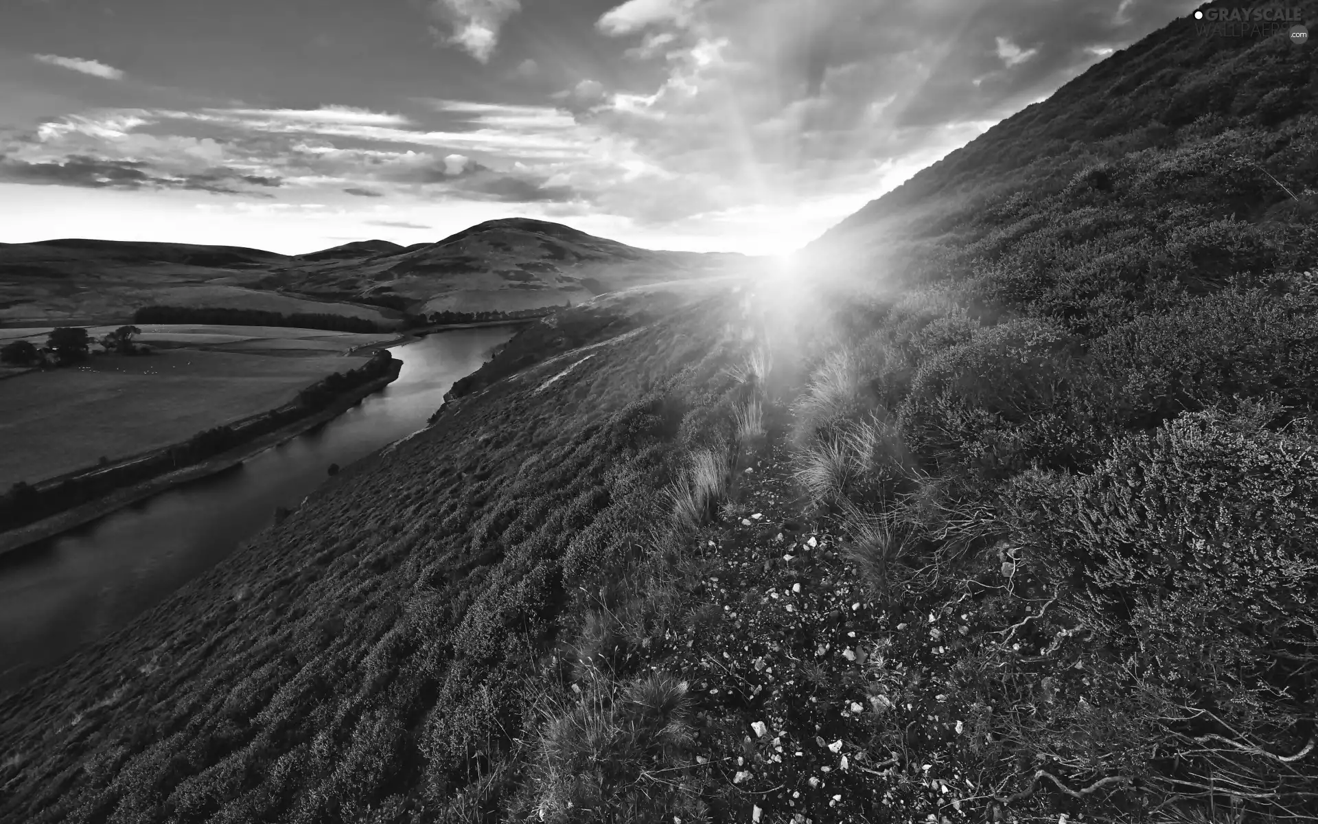 heathers, heath, River, The Hills, Sunrise