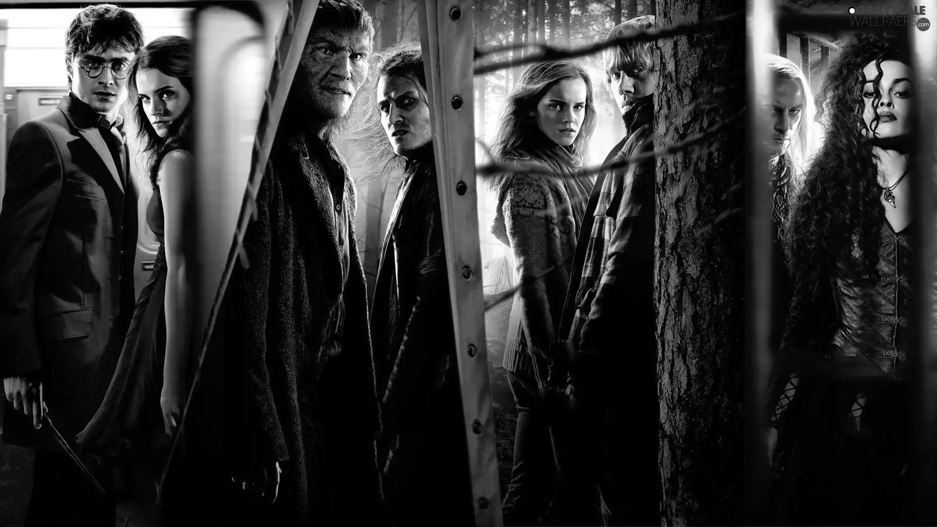 Heroes, Harry, Potter