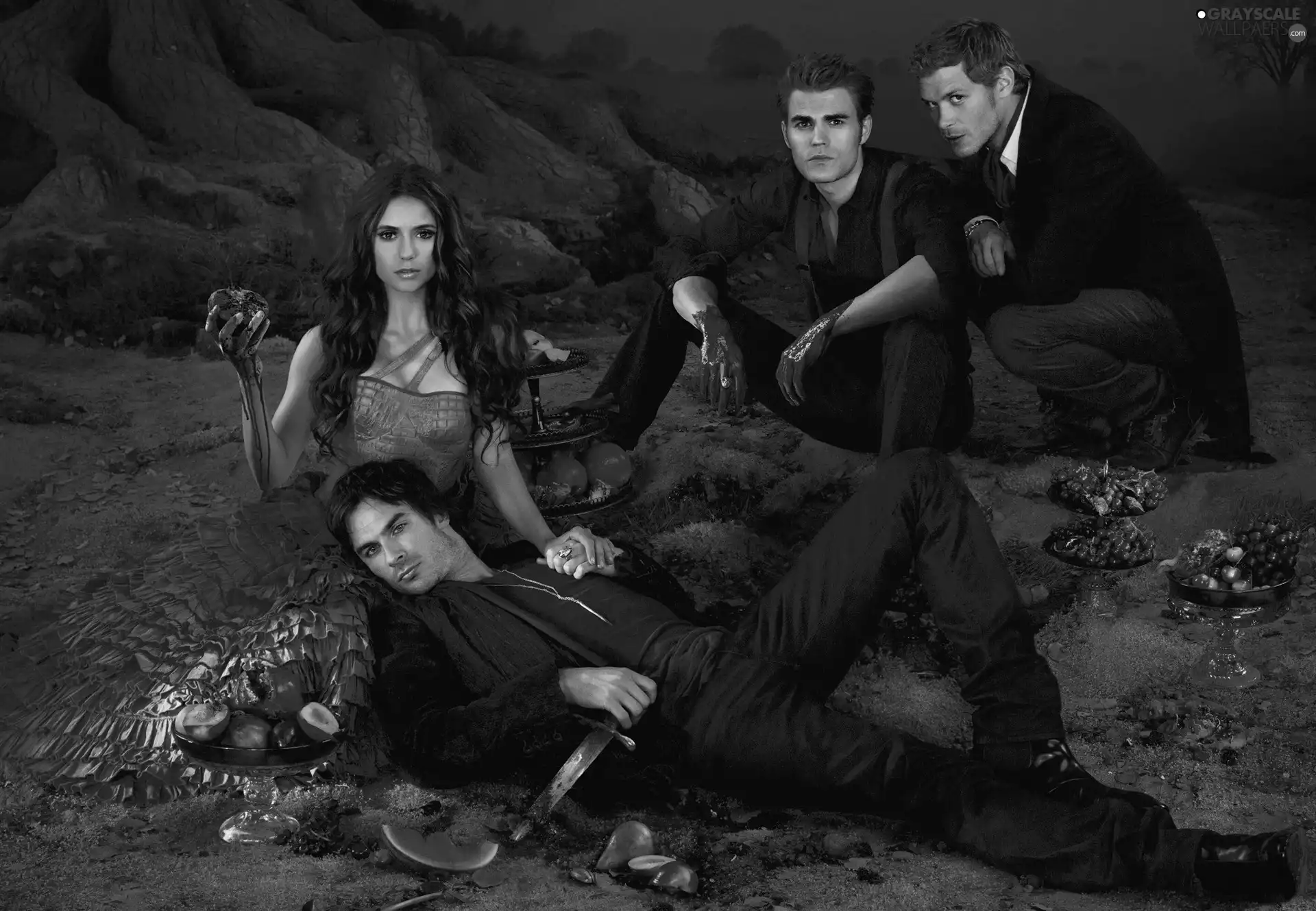 Nina Dobrev, The Vampire Diaries, Paul Wesley, Joseph Morgan, ian somerhalder, The Vampirie Diaries