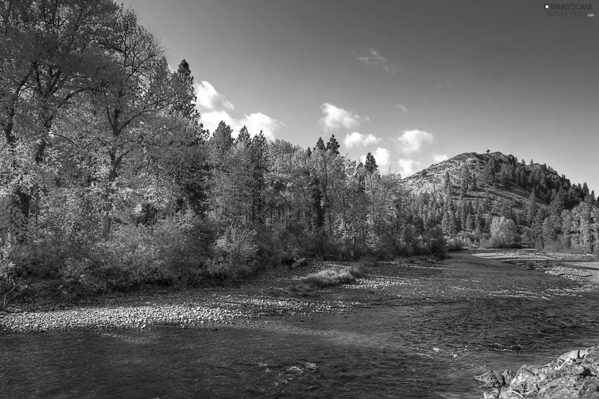 Hill, autumn, River