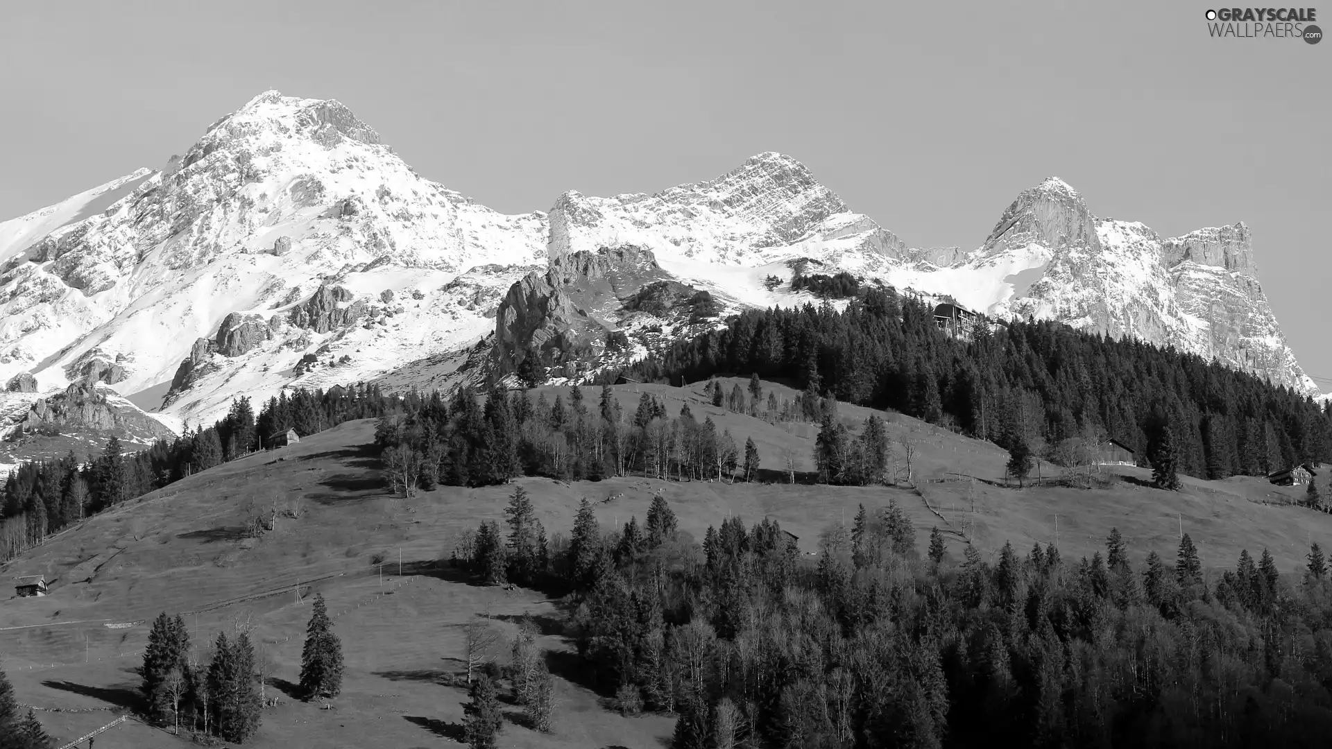 trees, viewes, Switzerland, Houses, Engelberg, Alps, Mountains, Hill