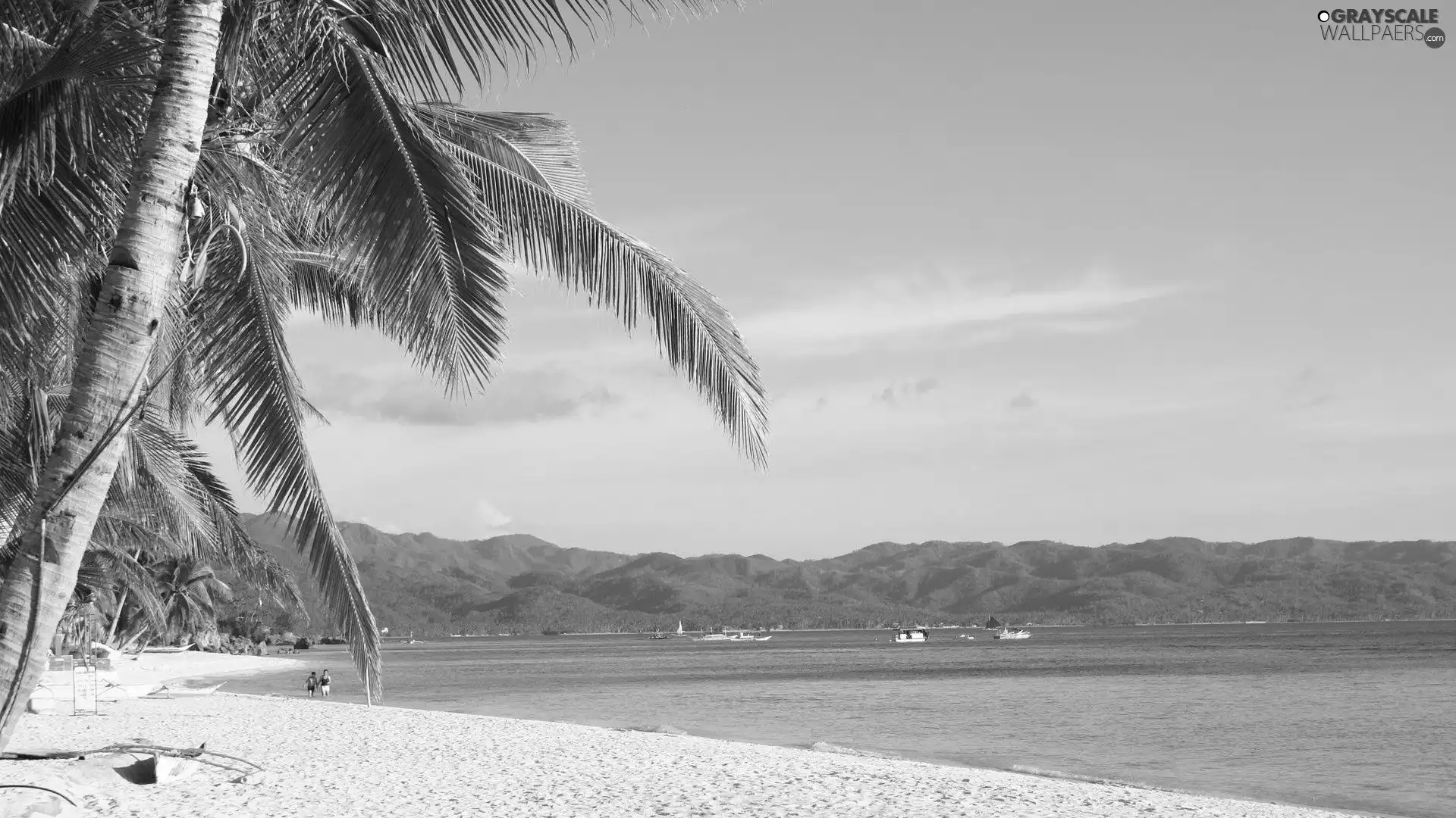 water, Sand, The Hills, Sky, Boats, Palm