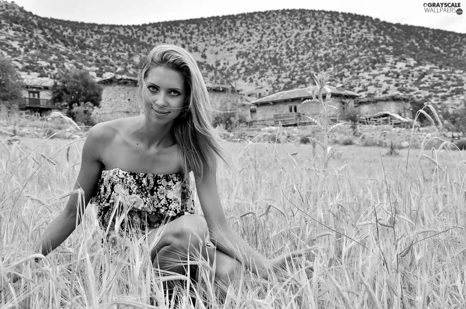 The Hills, blur, In Rye, Houses, girl