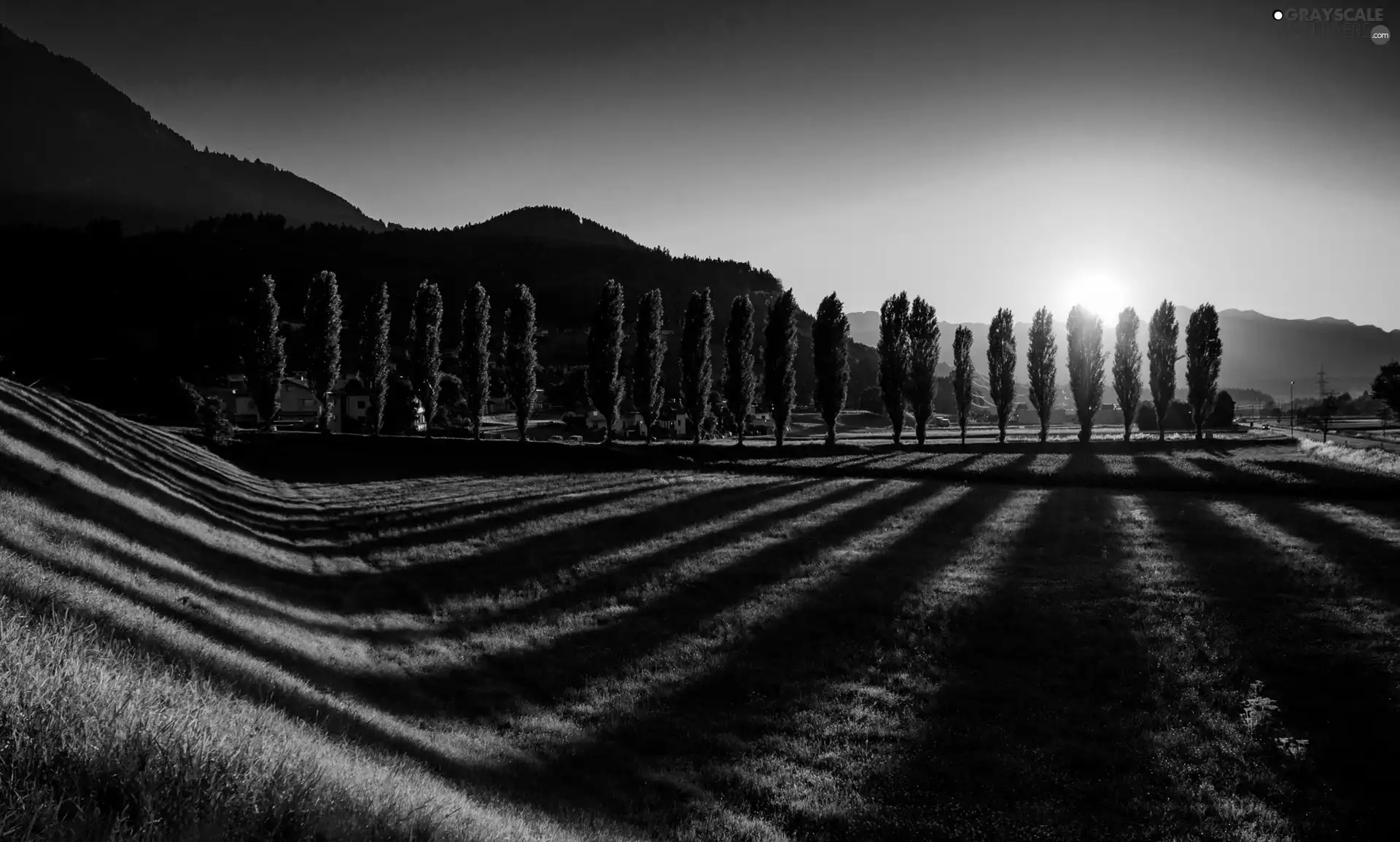 shadows, trees, country, viewes, Sunrise, Houses, The Hills