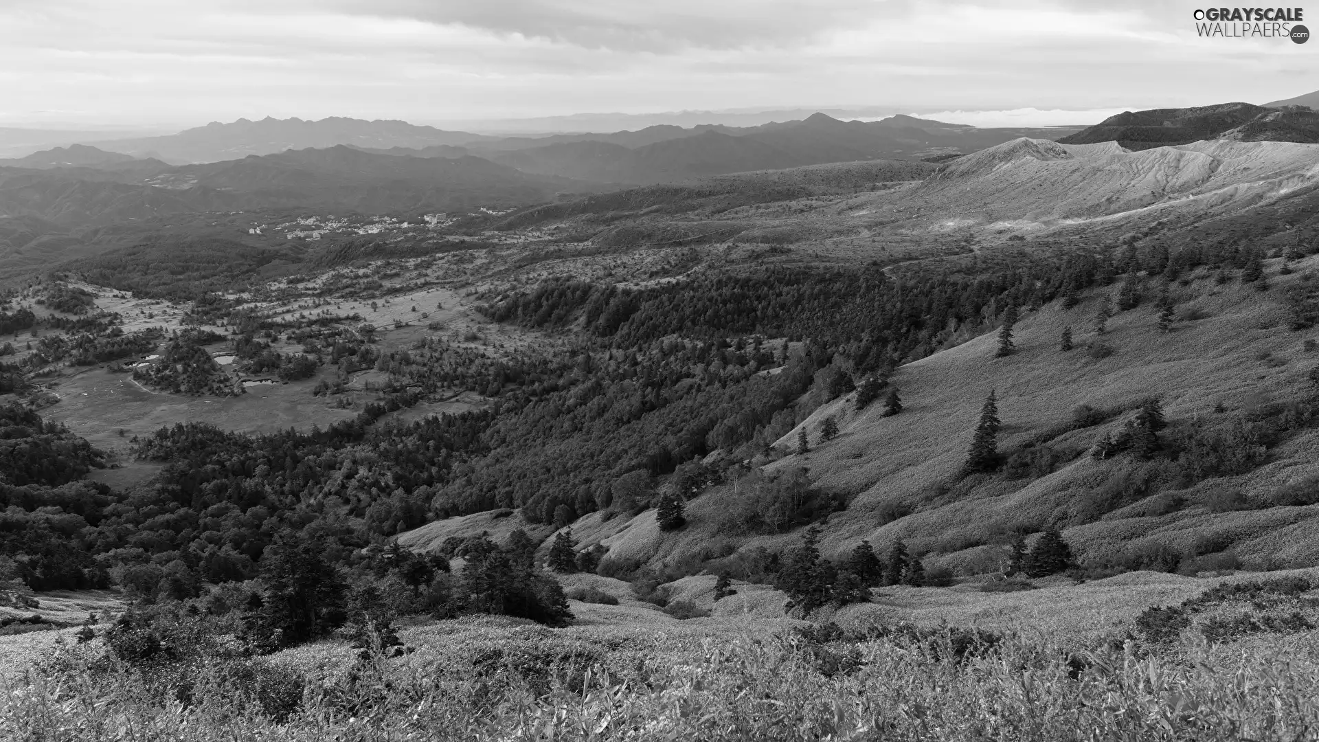 The Hills, woods, medows, Mountains