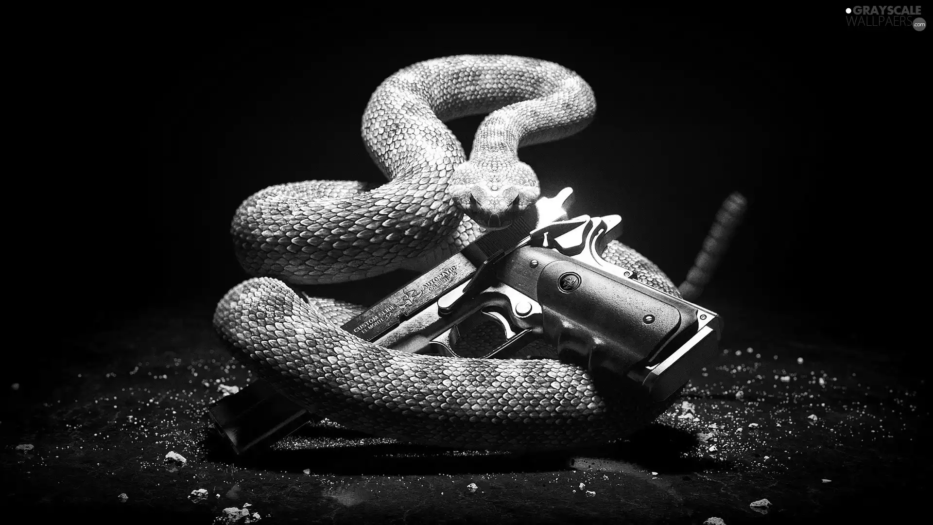 Hitman Absolution, Snake