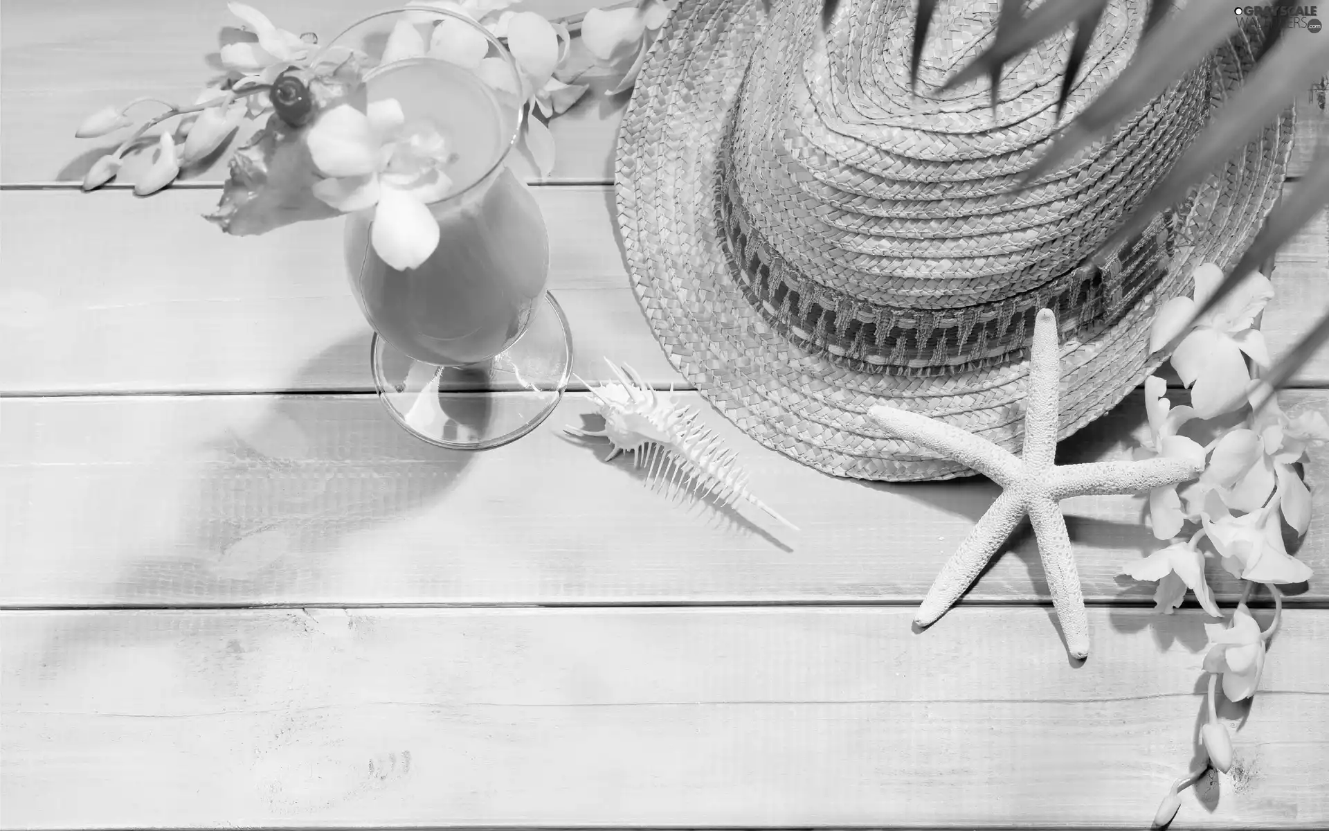 Flowers, cocktail, holiday, summer, Bench, Hat