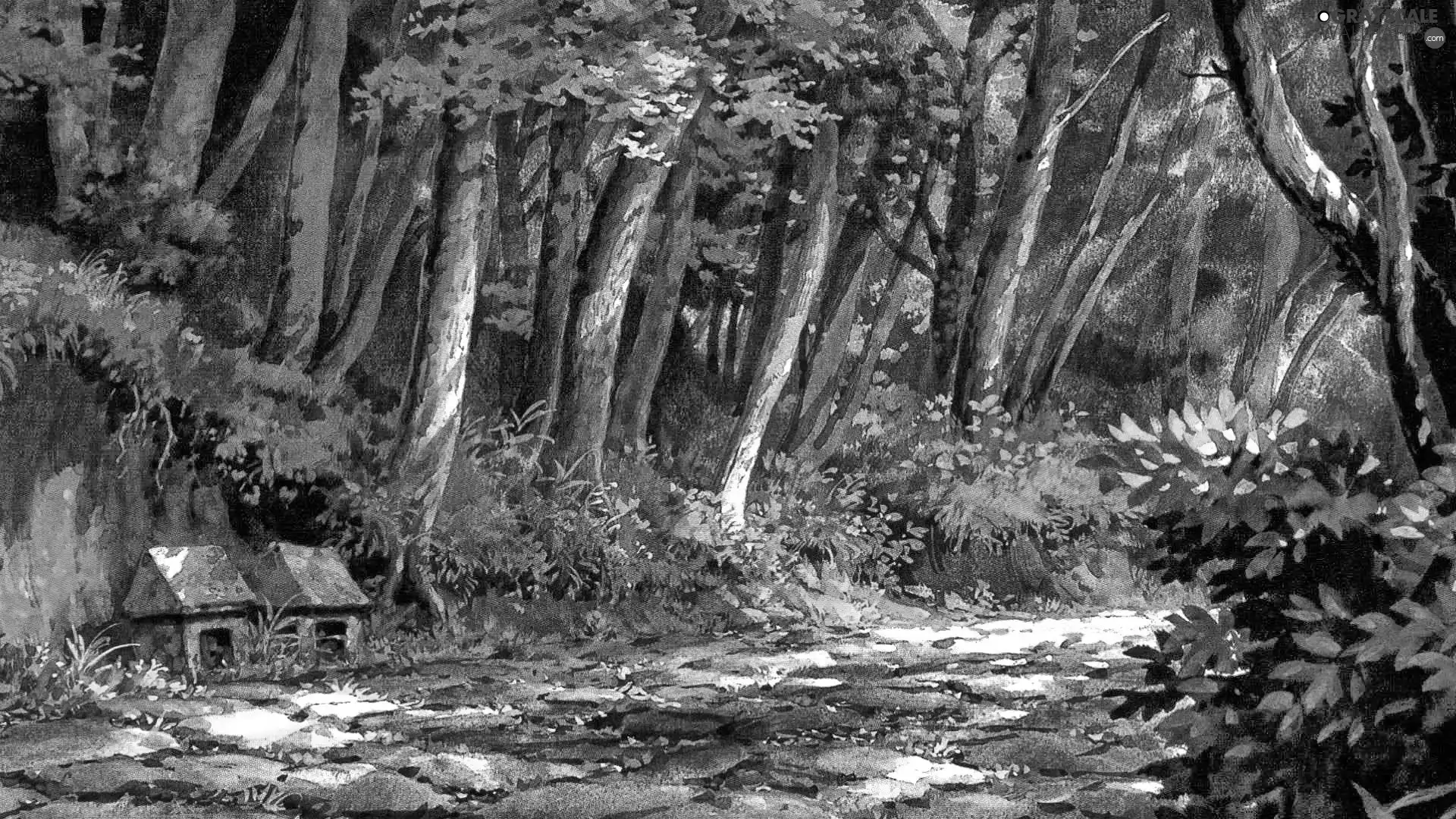 Drawing, Way, Home, forest