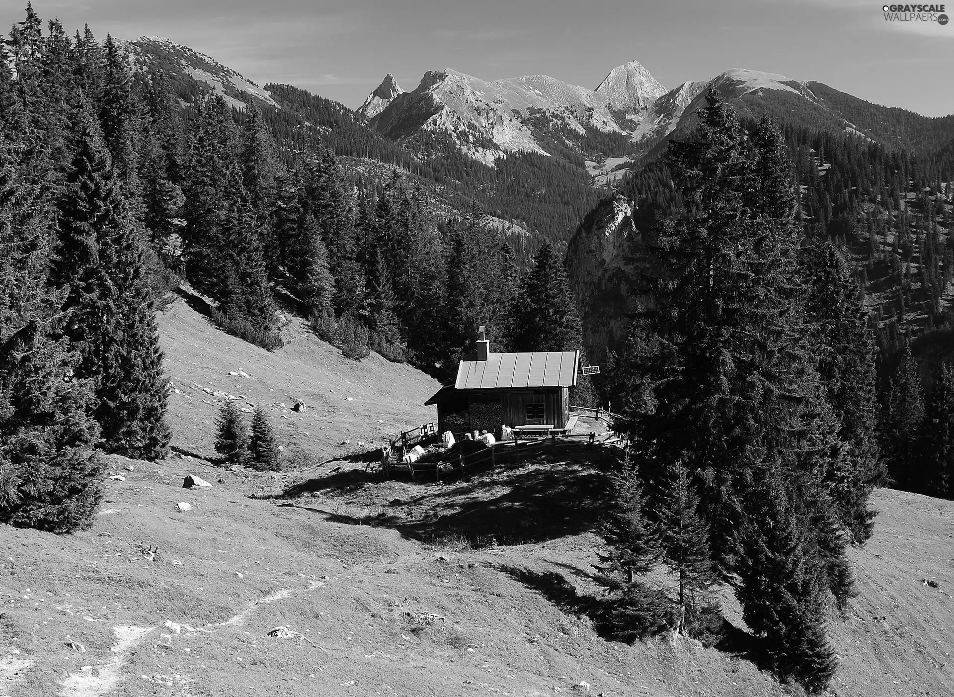 Mountains, Highland, Home, woods