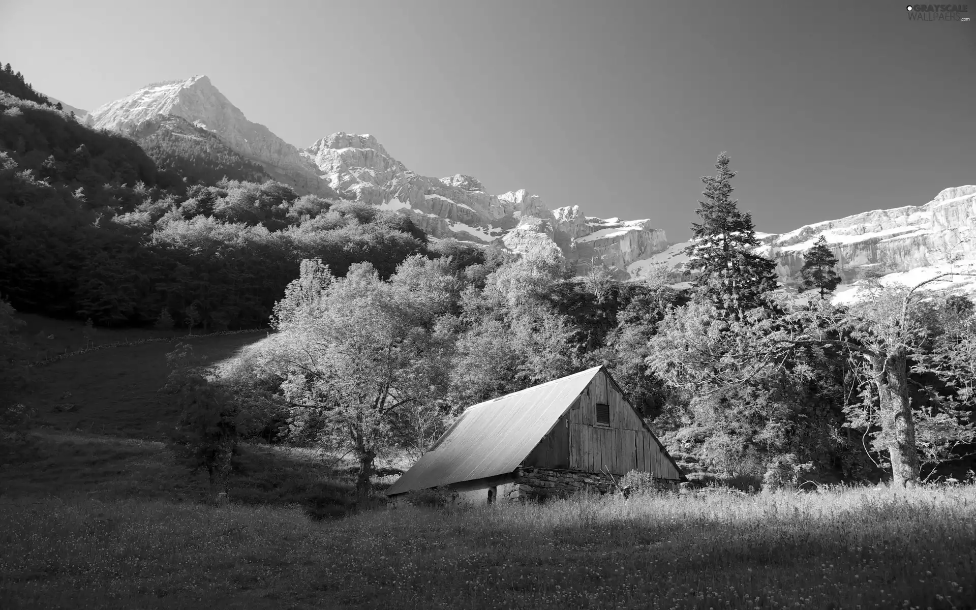 Mountains, medows, Home, woods