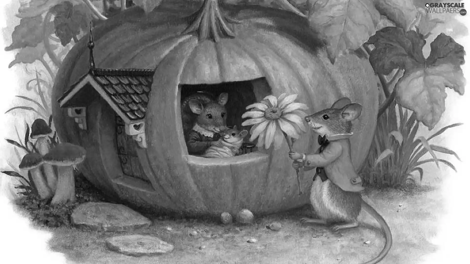 Home, mouse, pumpkin