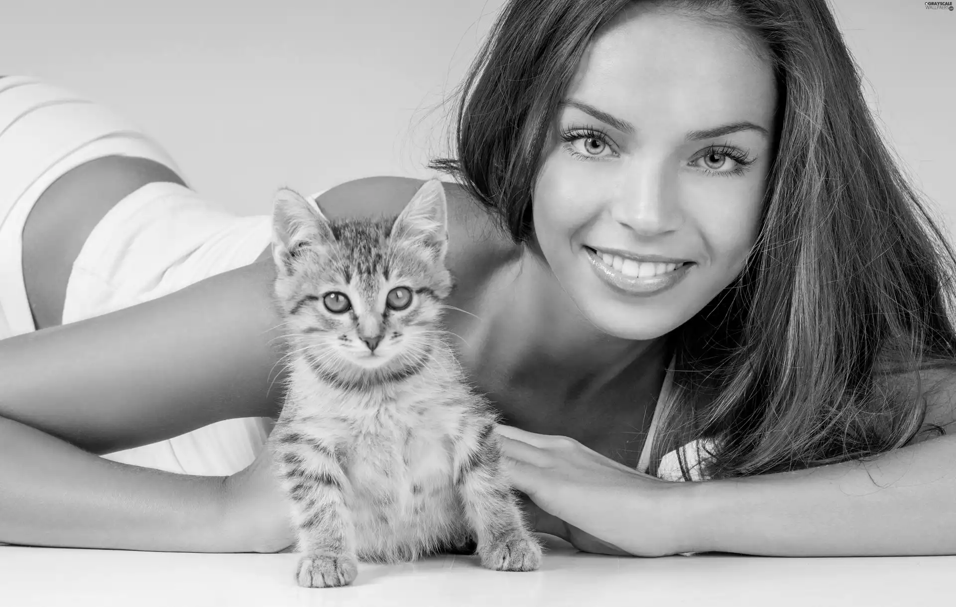 honeyed, kitten, girl, small, smiling