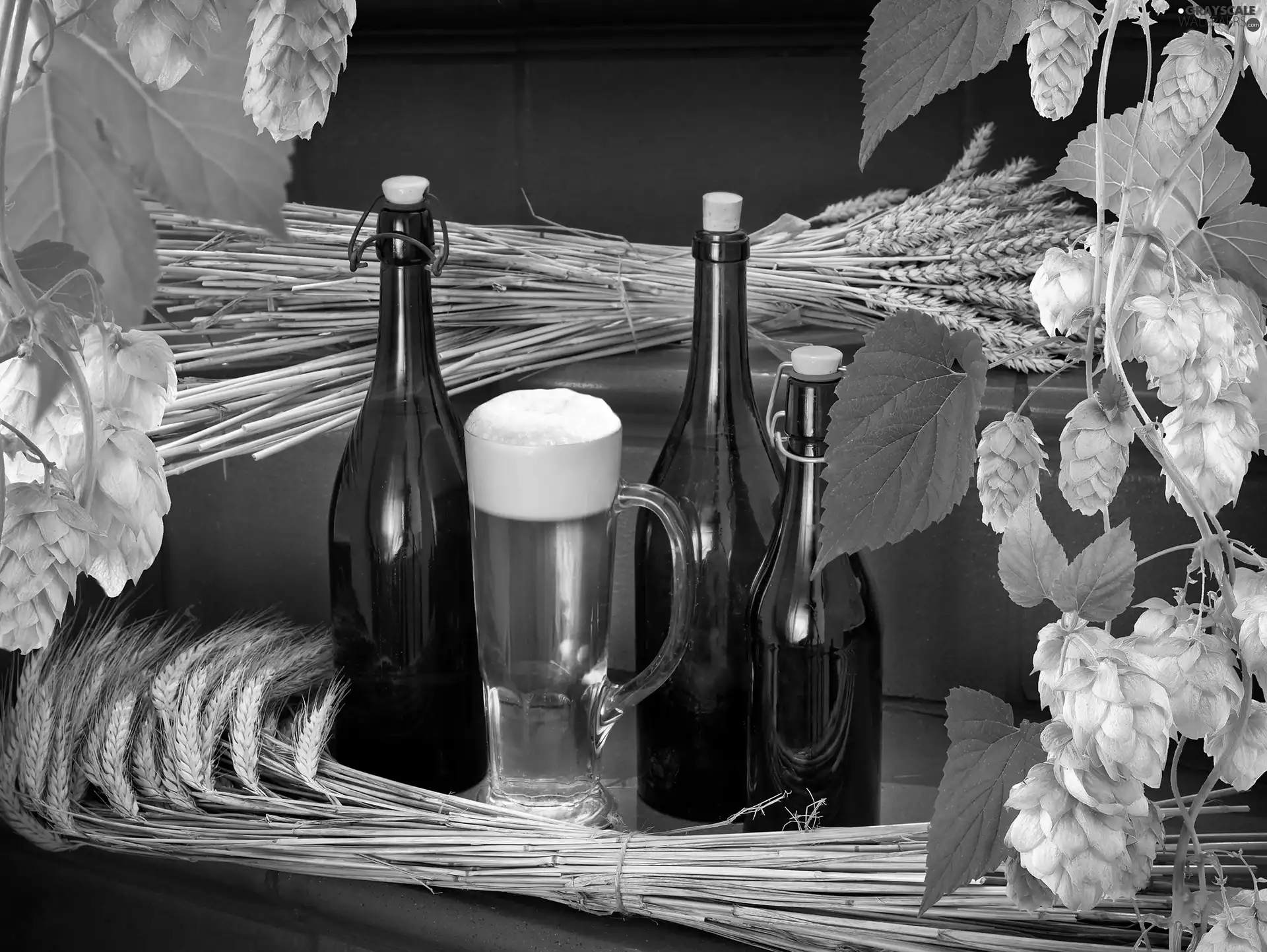 Beer, corn, hop, Bottles