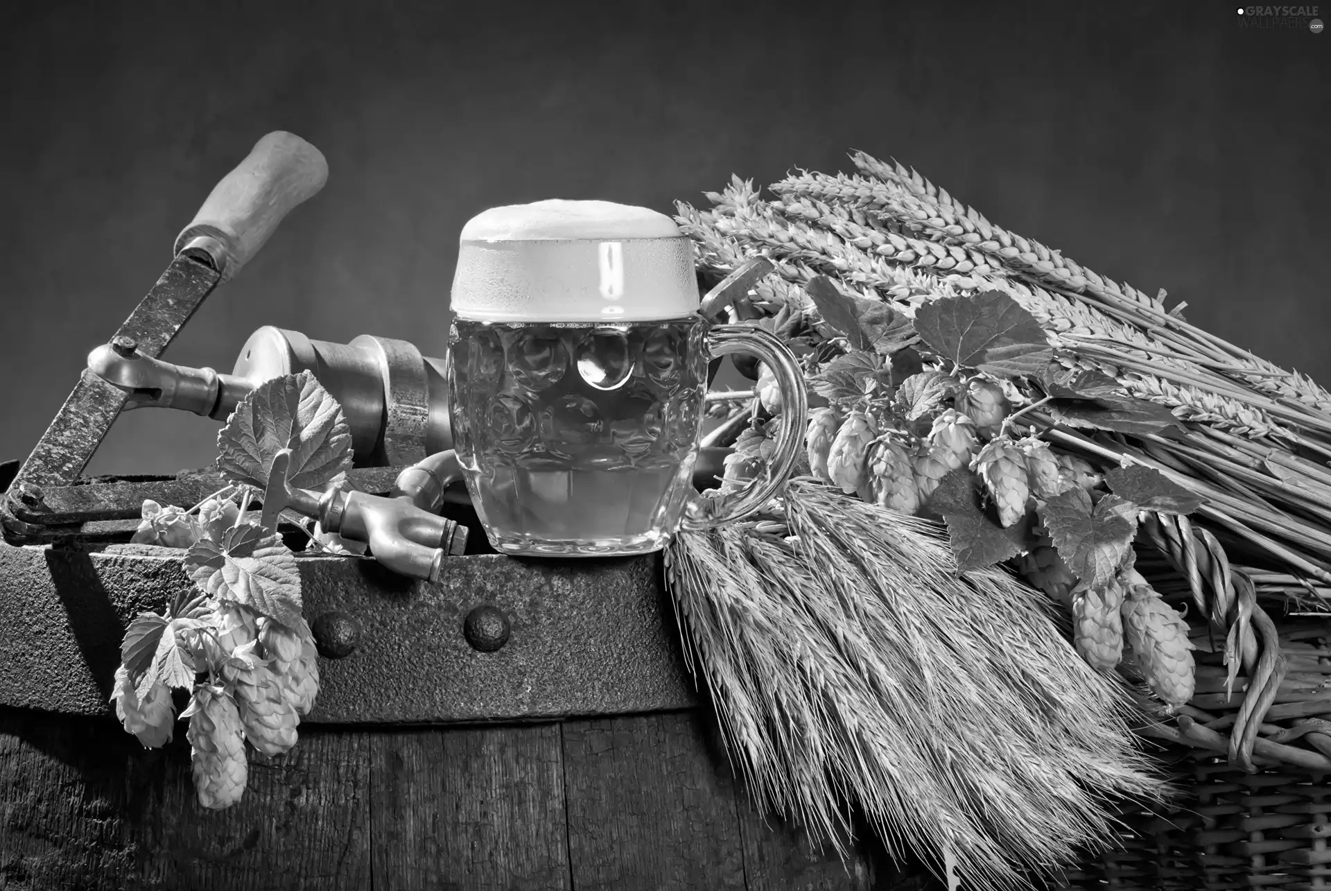 mug, composition, hop, corn, barrel, Beer