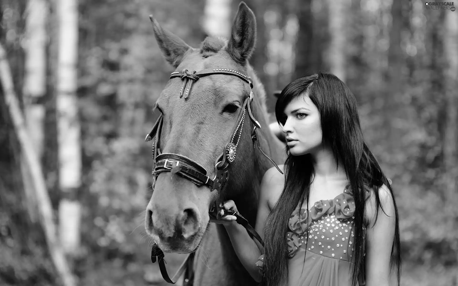 Horse, birch, Longs, Hair, Women