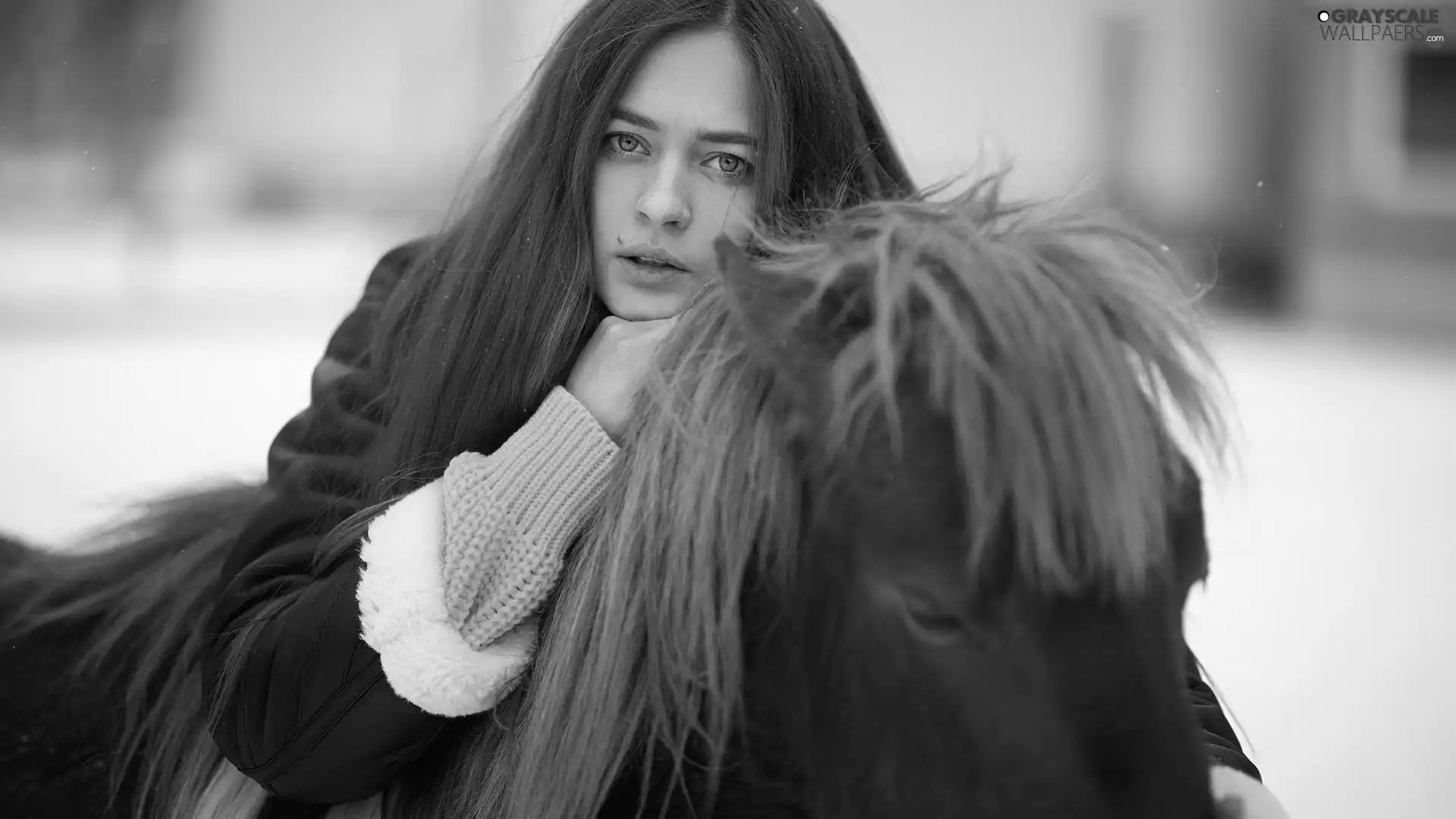 Horse, girl, Brown