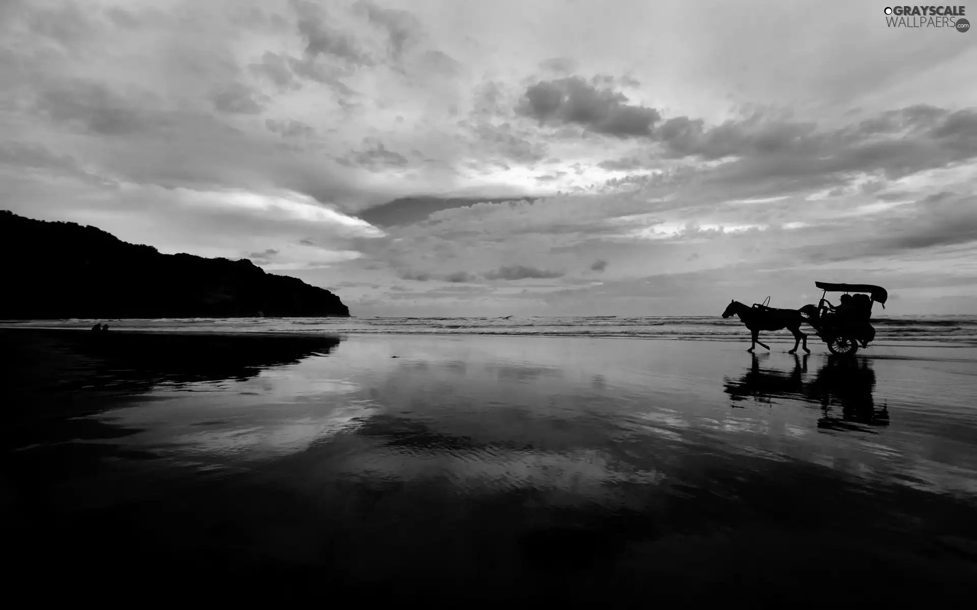 Horse, trolley, west, sun, Beaches