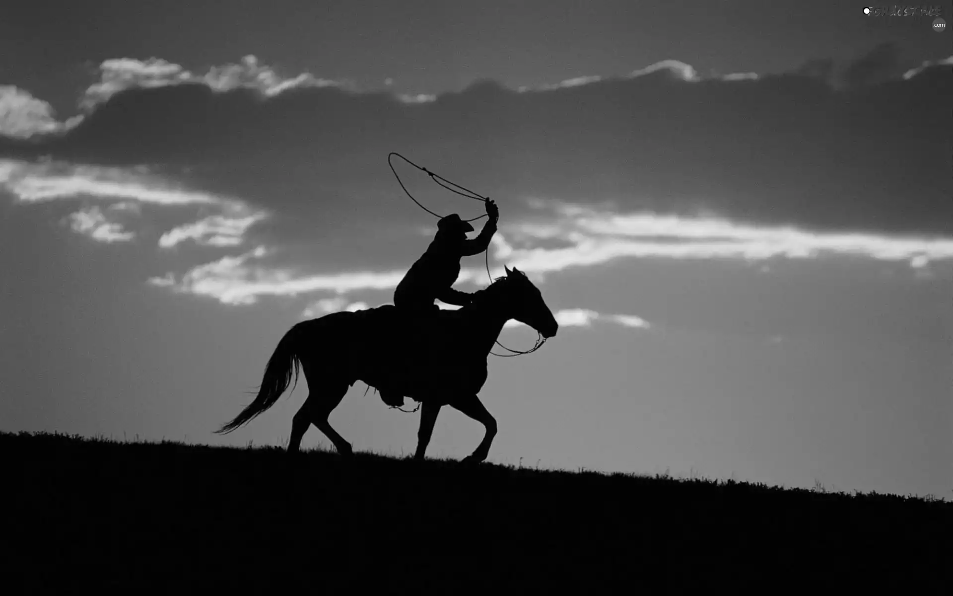 west, rider, Horse, sun