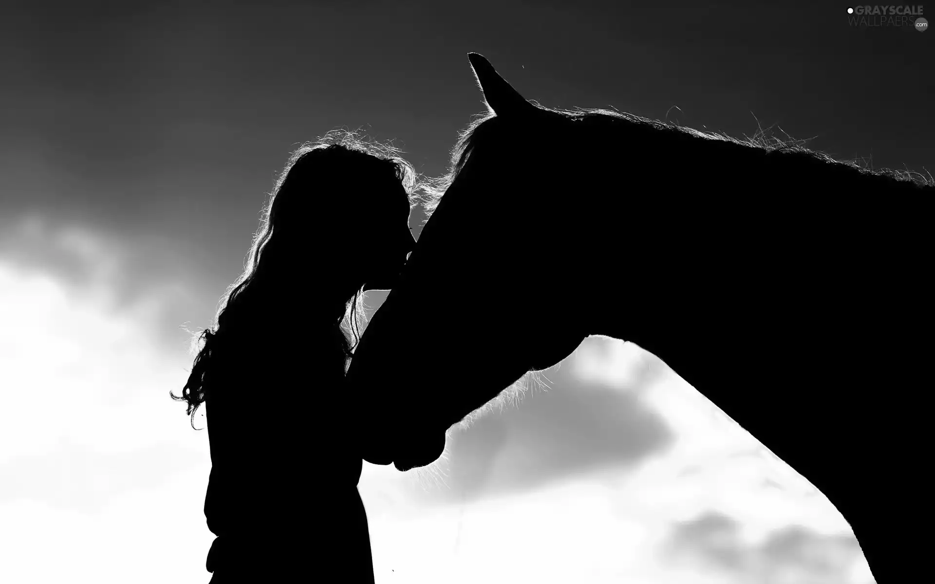 west, Women, Horse, sun