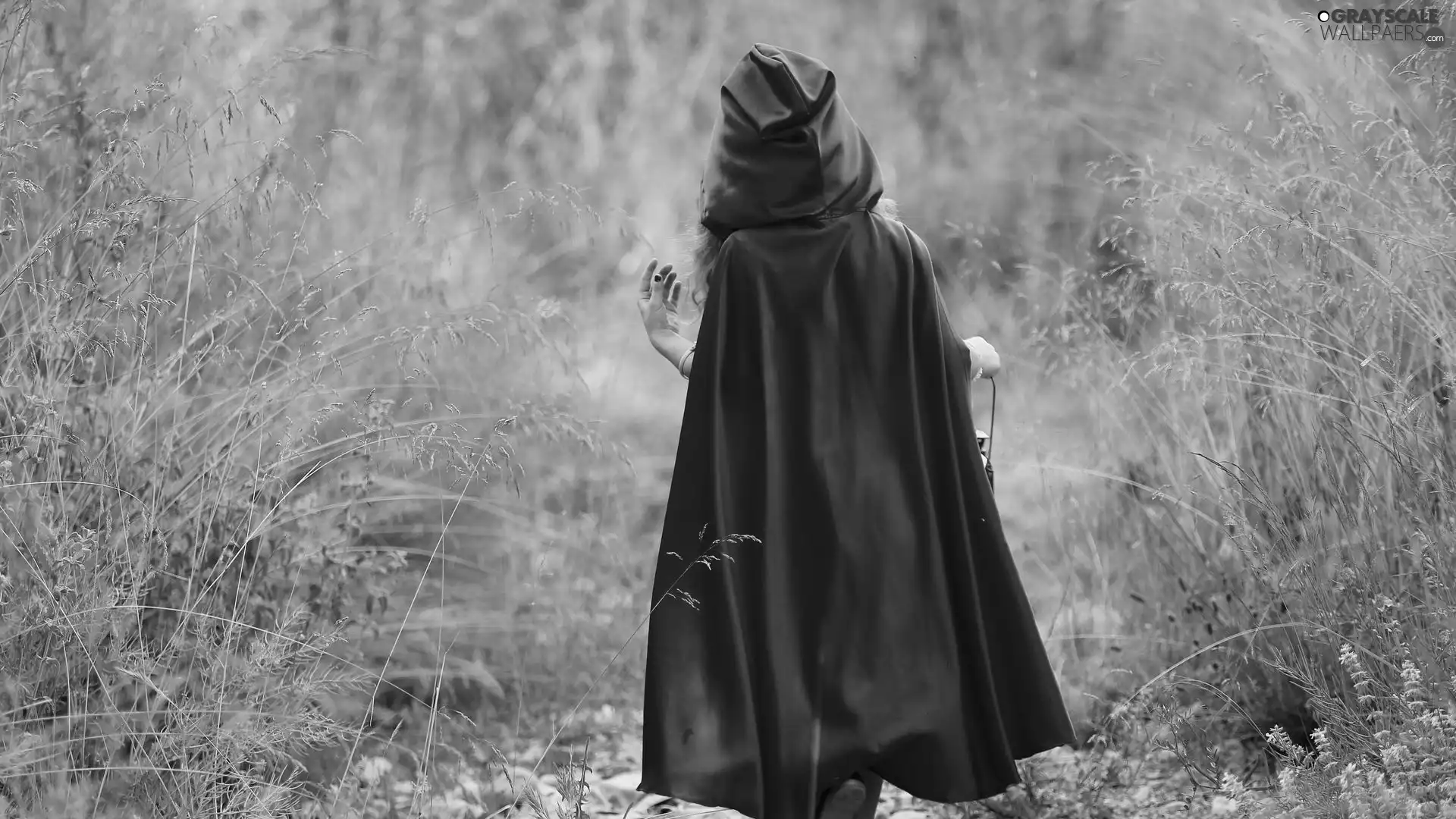 hood, grass, red hot, cape, girl