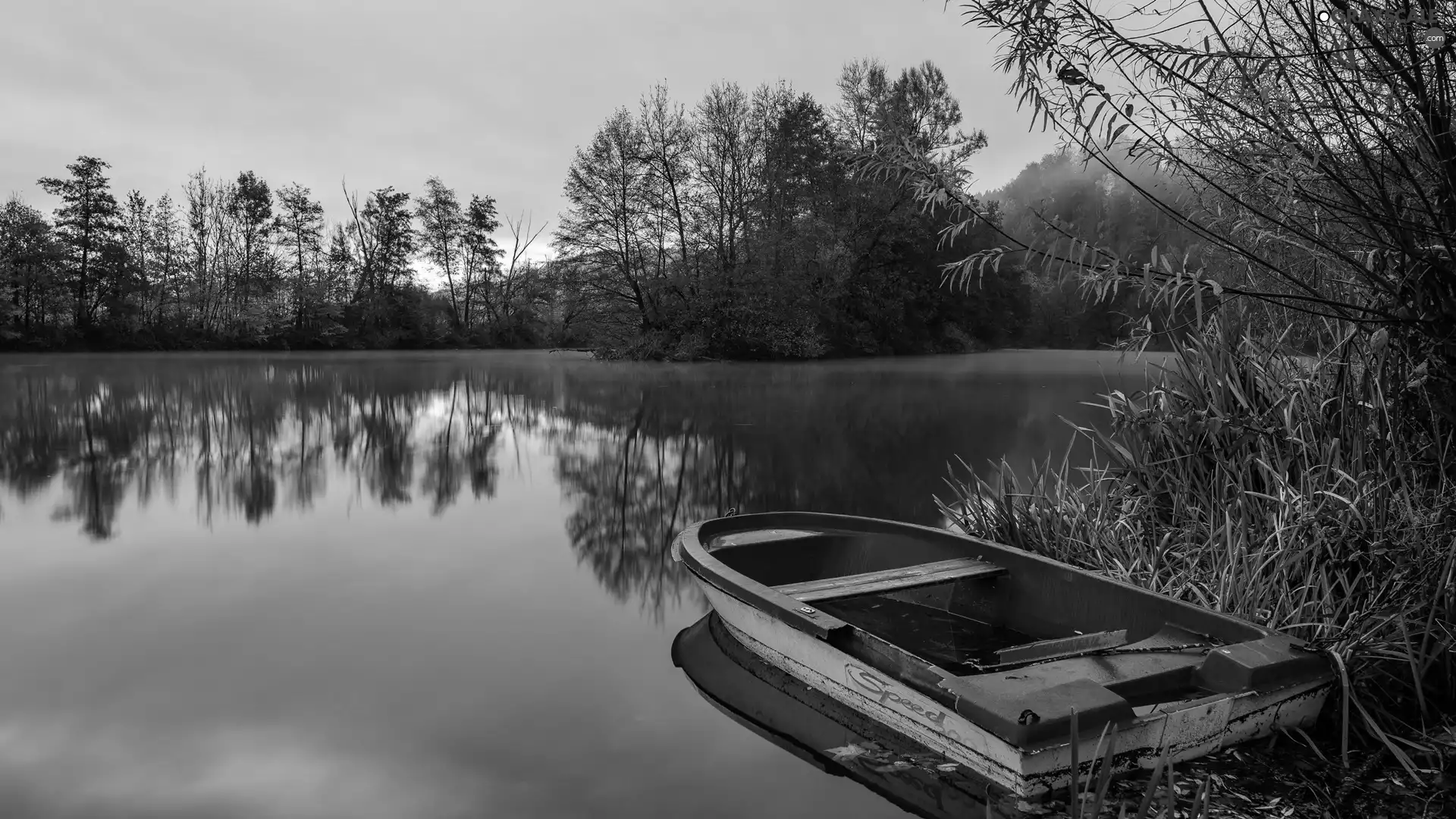 Boat, lake, viewes, Great Sunsets, trees, red hot