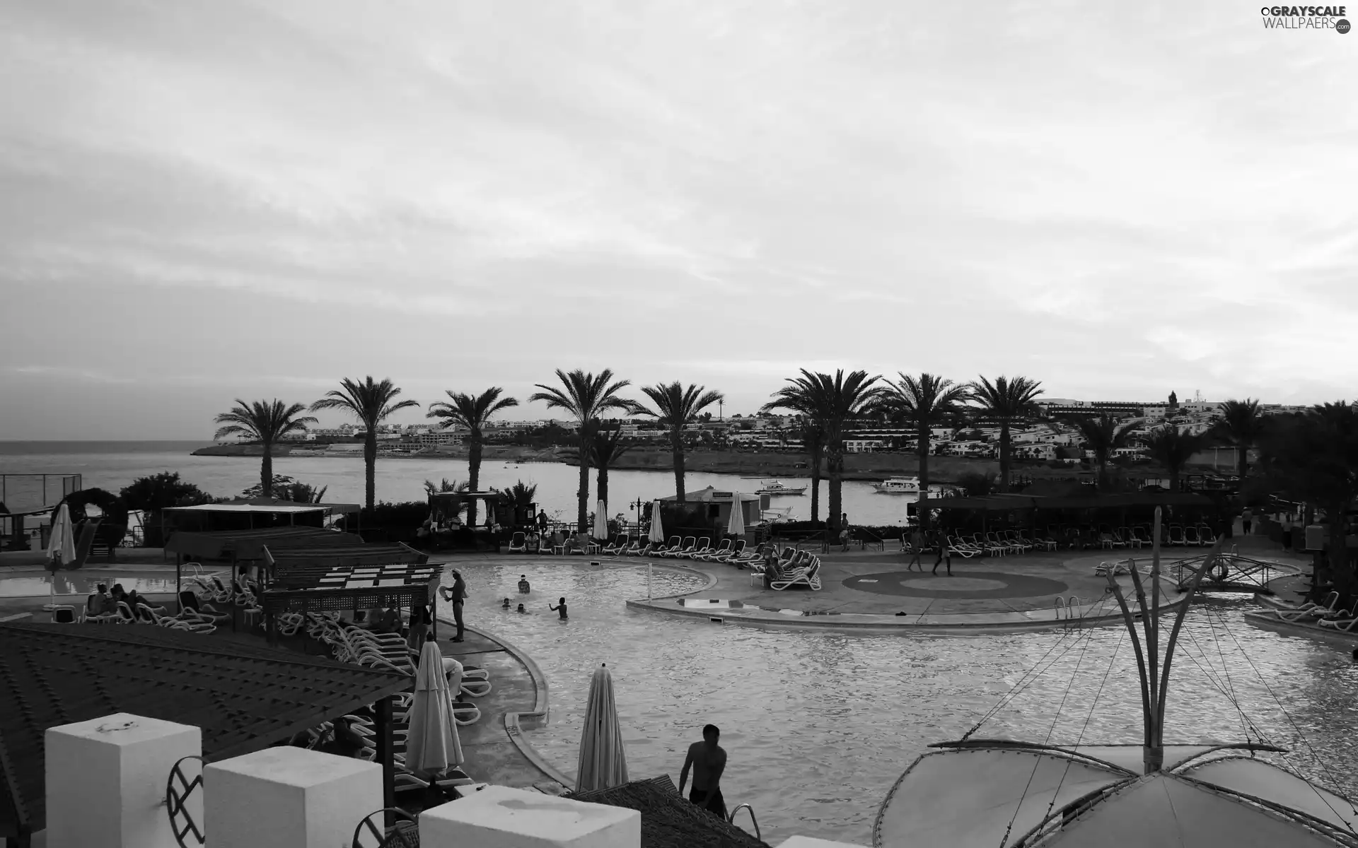 Hotel hall, Coast, Palms, spa, People, Pool