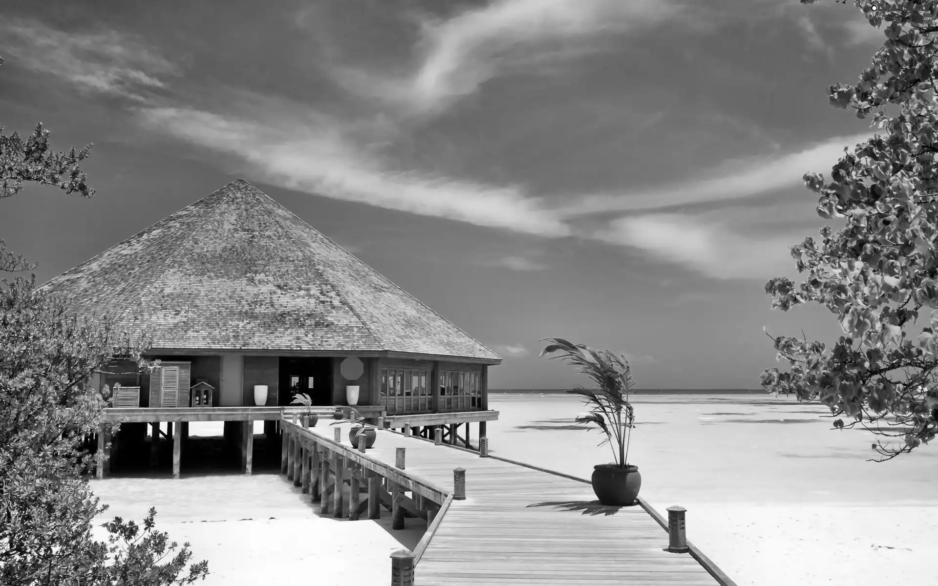 Hotel hall, tropic, Beaches, pier, Ocean