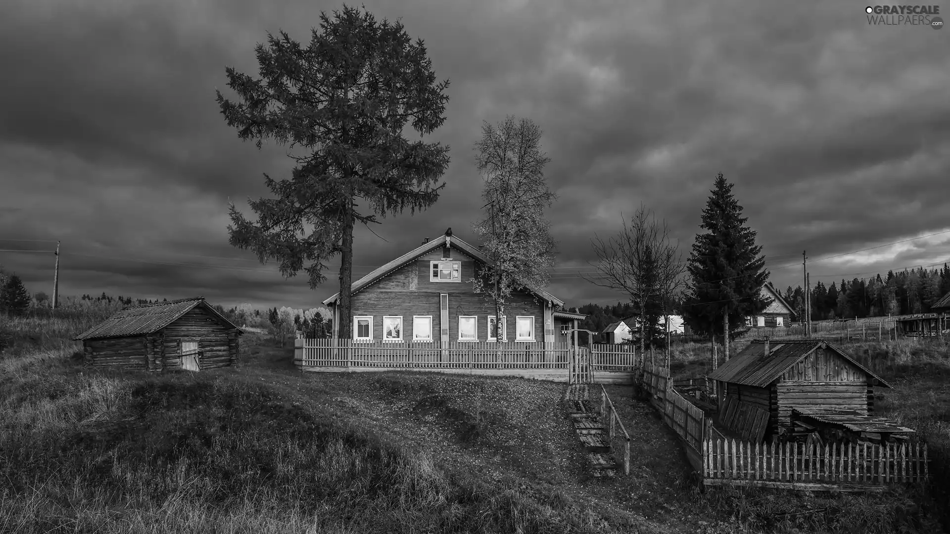trees, Green, autumn, house, country, clouds, Sheds