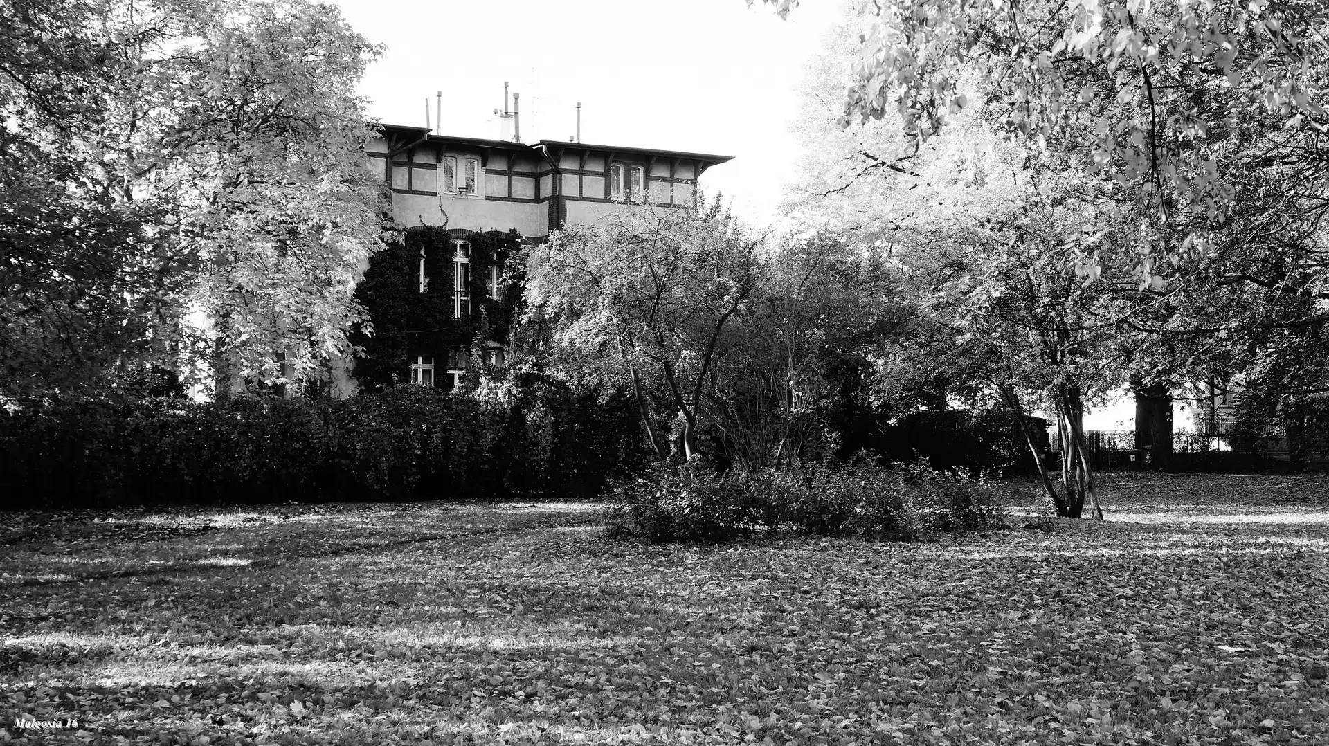 autumn, viewes, House, trees